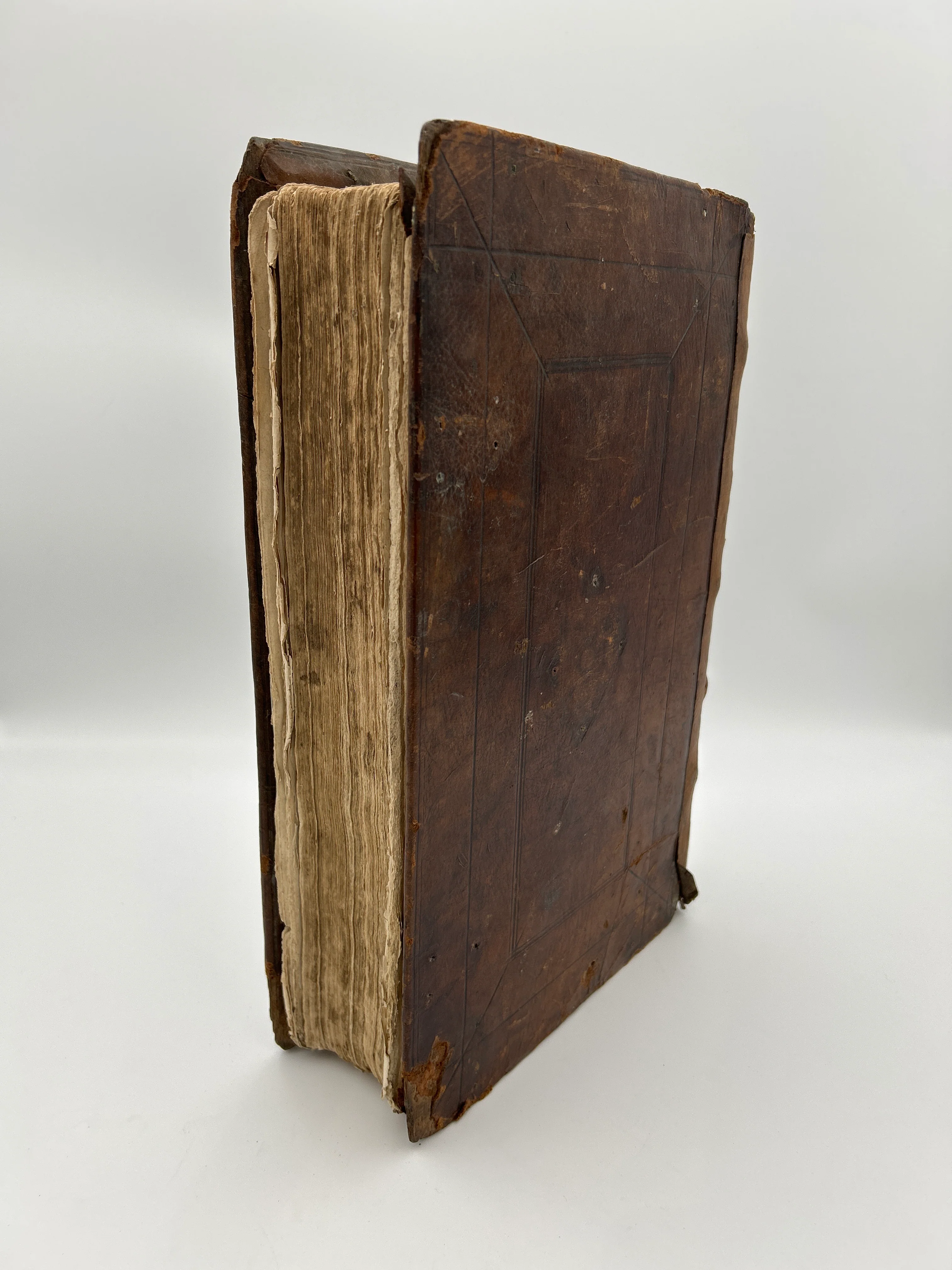 King James Bible with Geneva Notes - Image 2