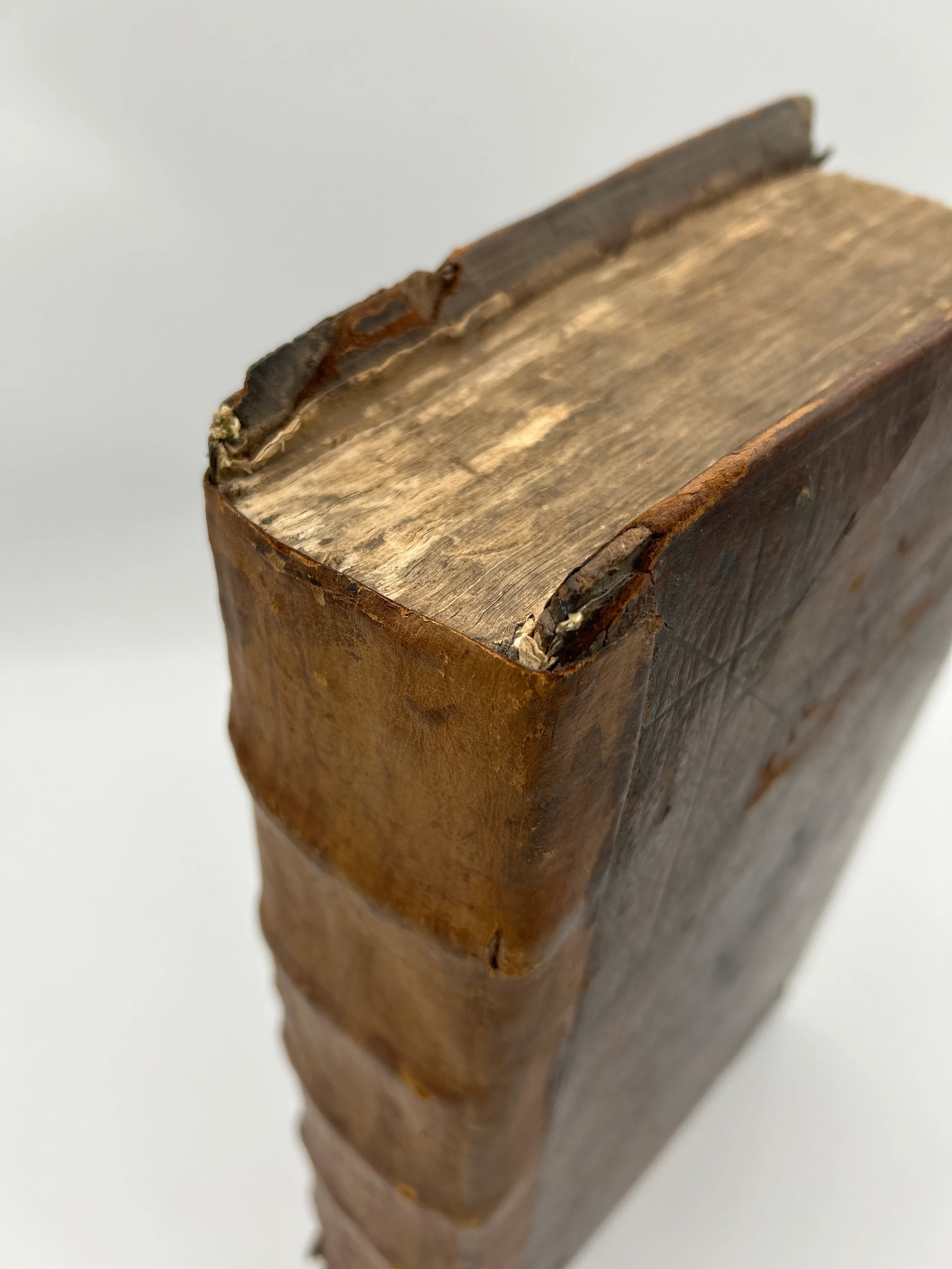 King James Bible with Geneva Notes - Image 5