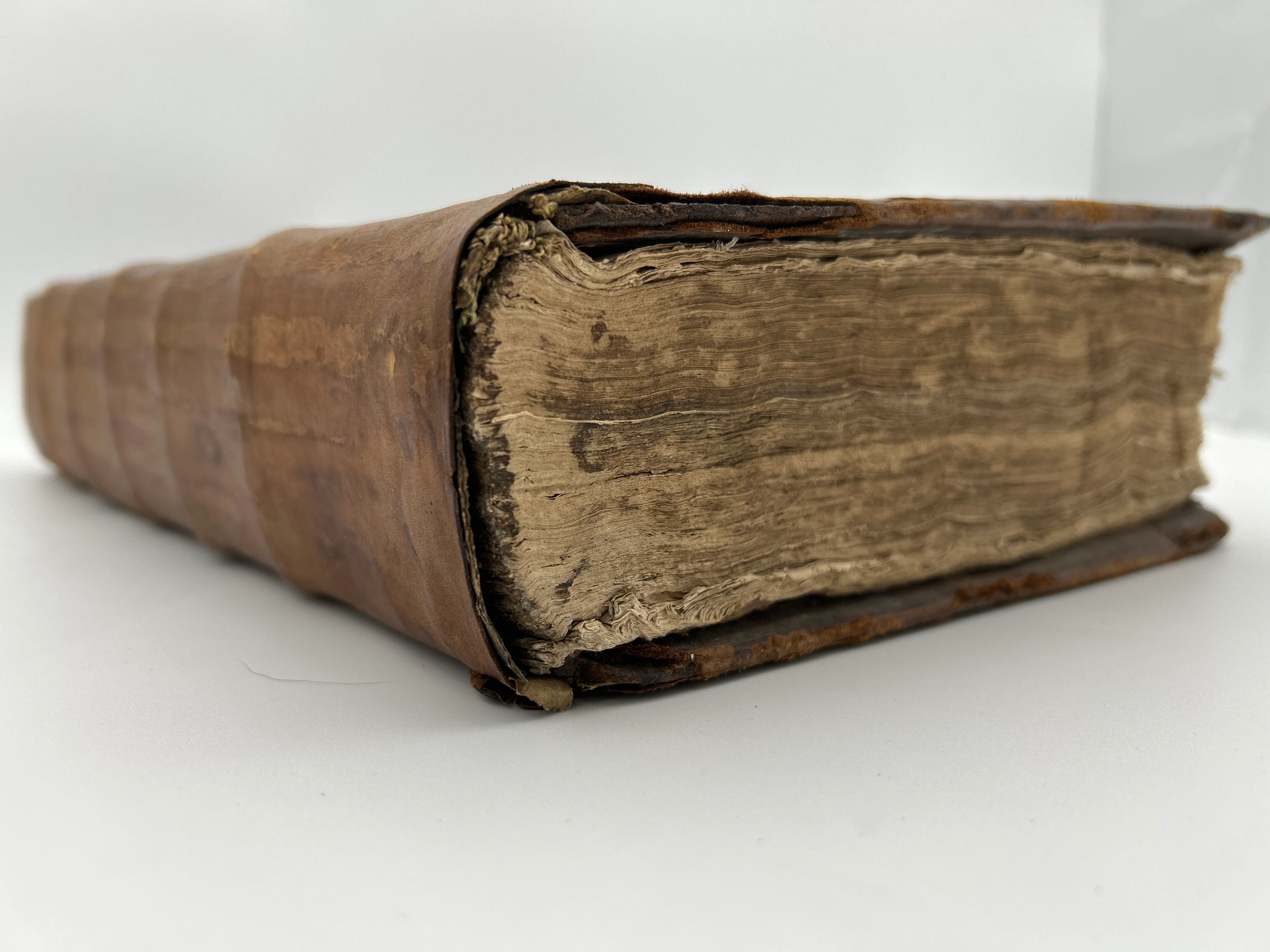 King James Bible with Geneva Notes - Image 6