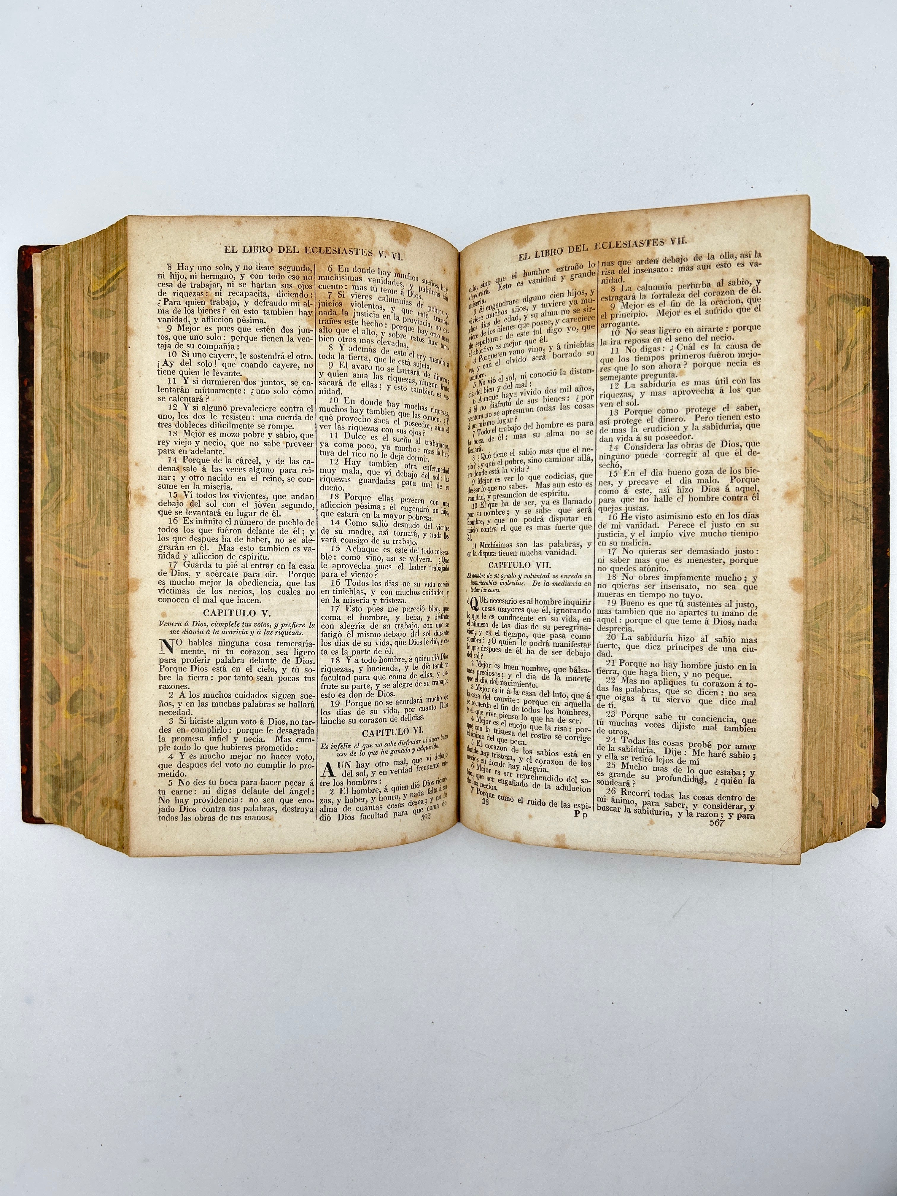 La Biblia Sagrada - Image 4