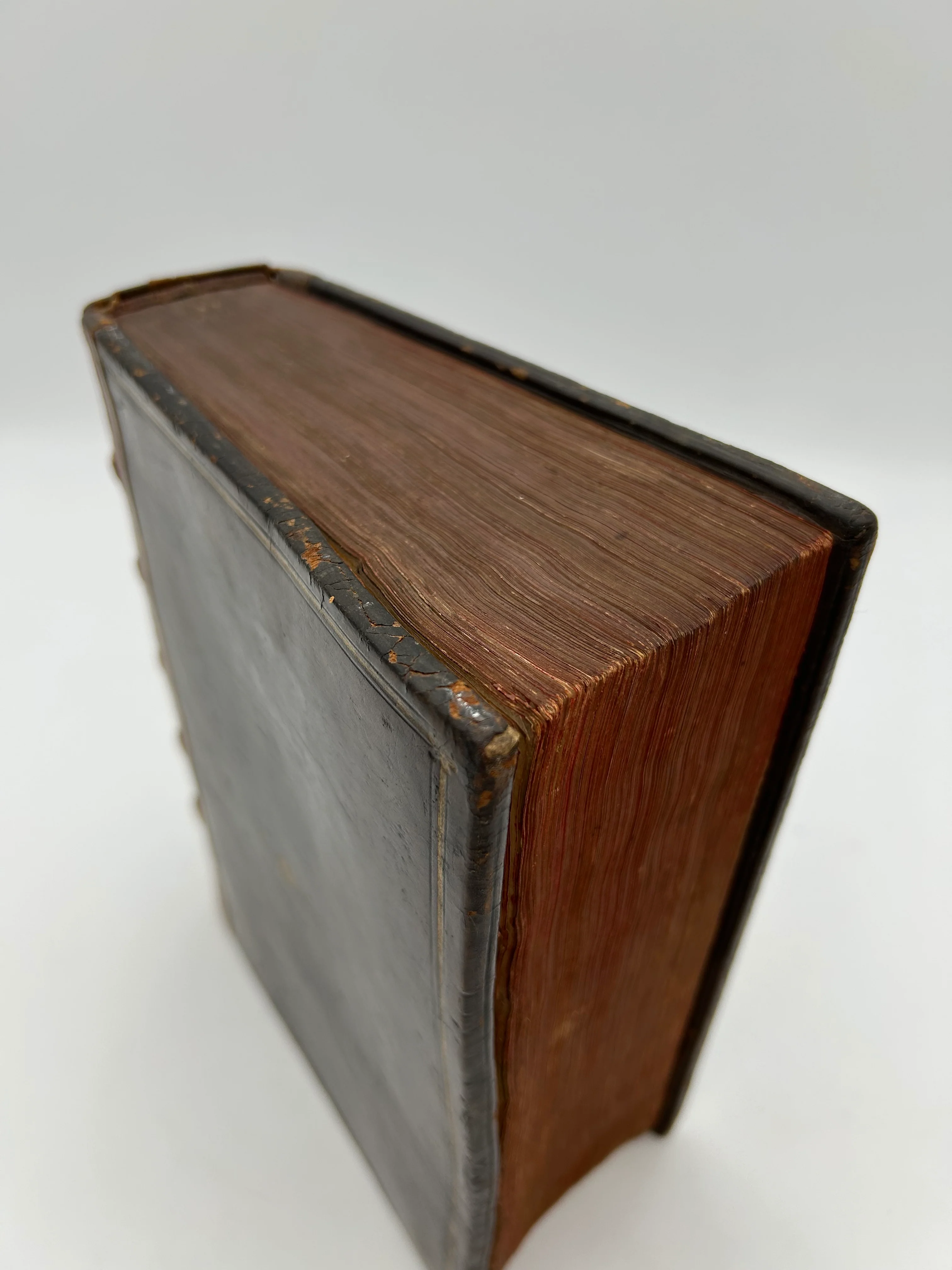 Holy Bible 1585 Latin - Image 3