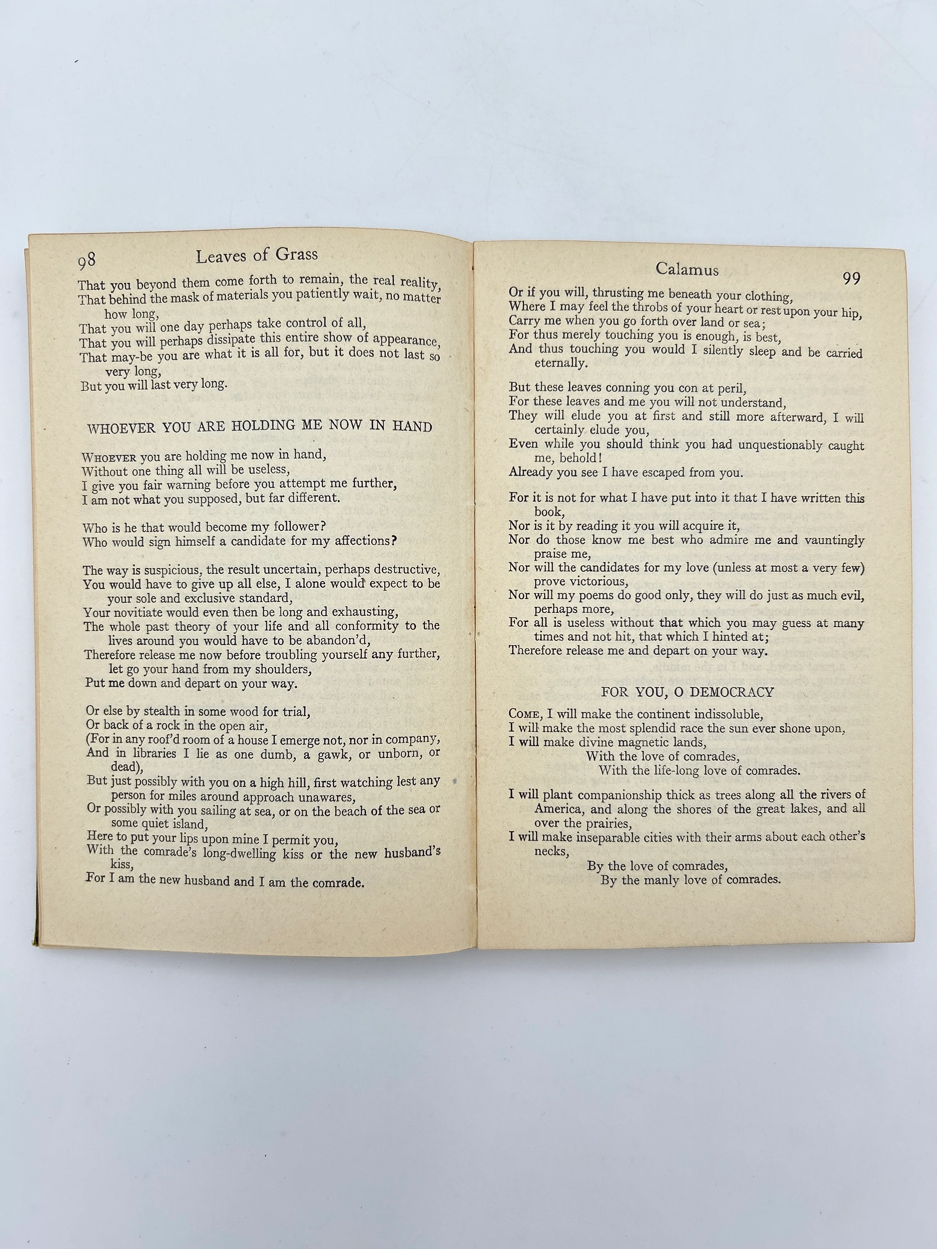 Leaves of Grass & Democratic Vistas - Image 3