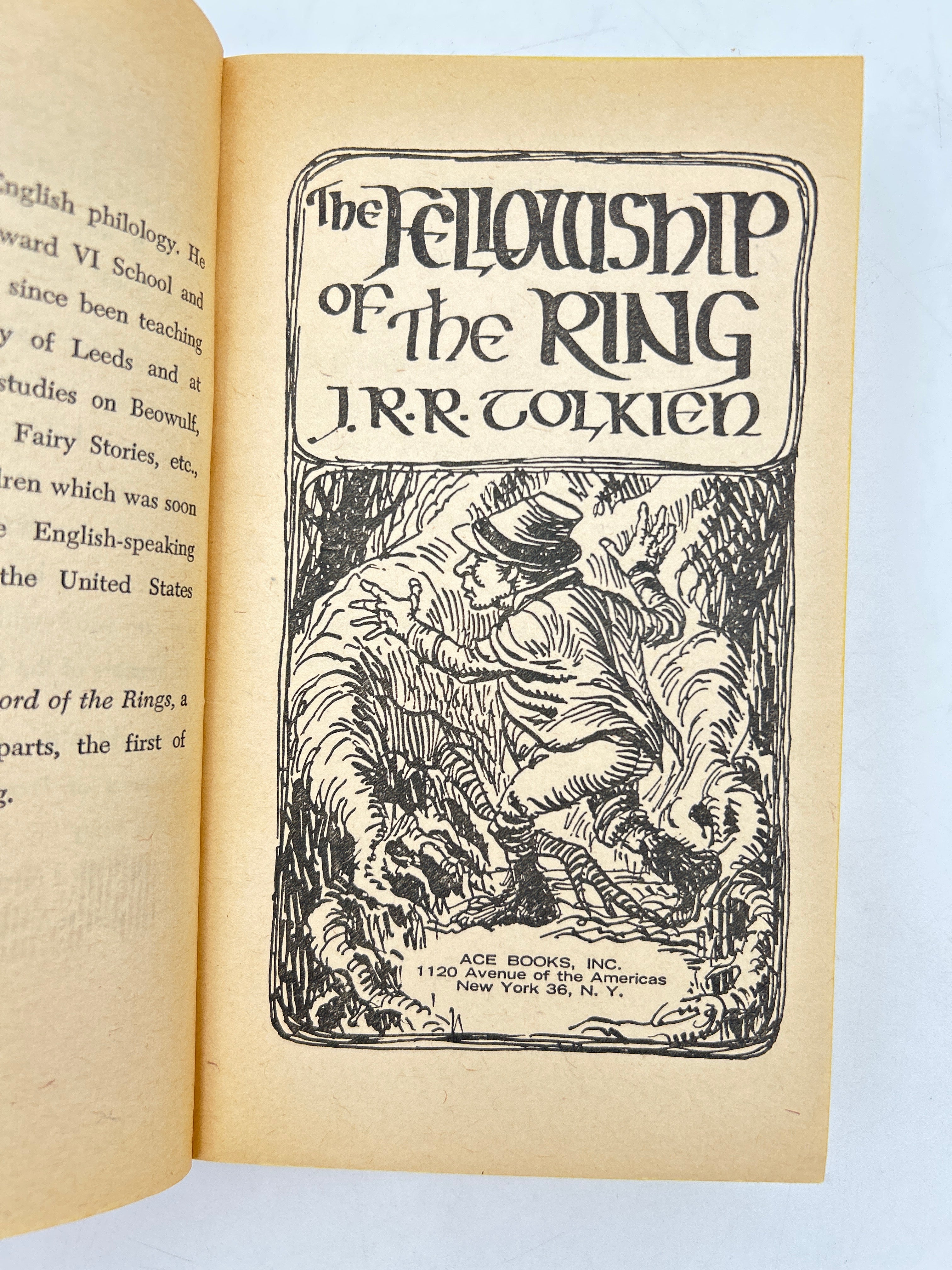 Lord of the Rings - Image 5
