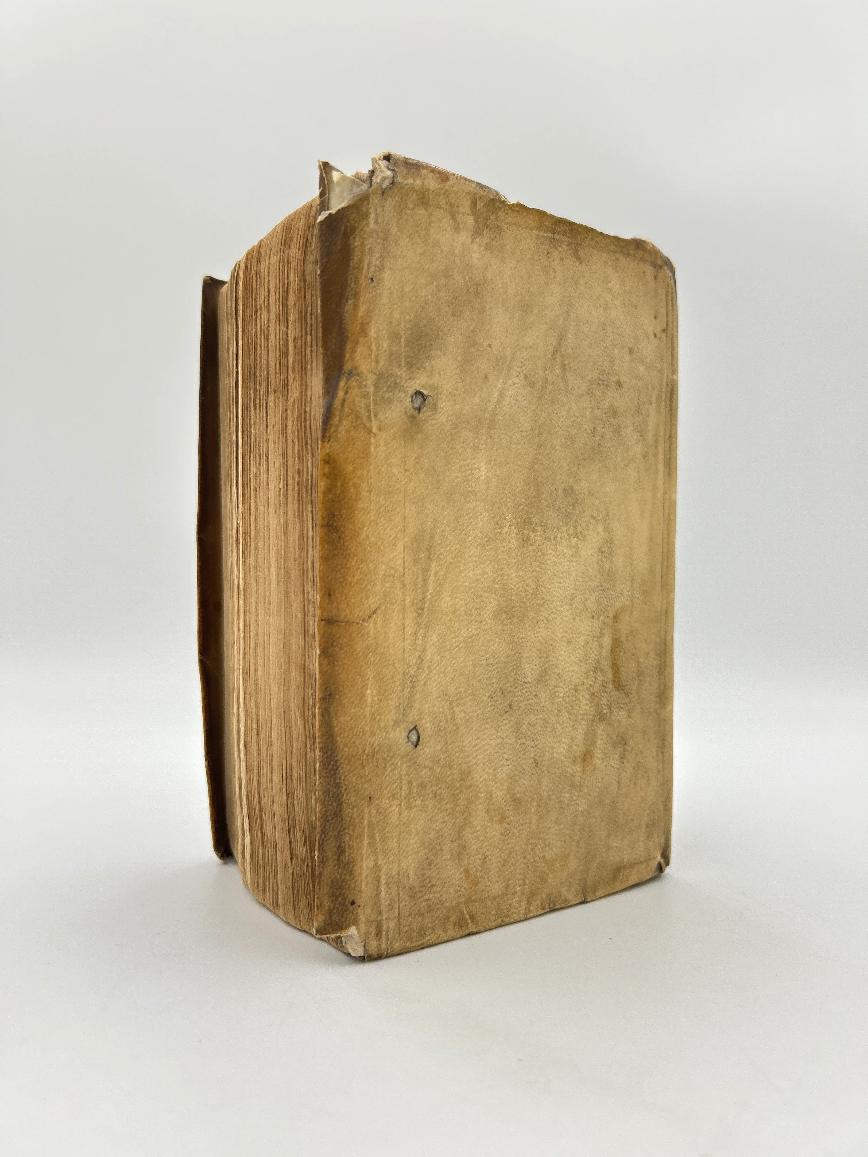Malleus Maleficarum 1604 - Image 8