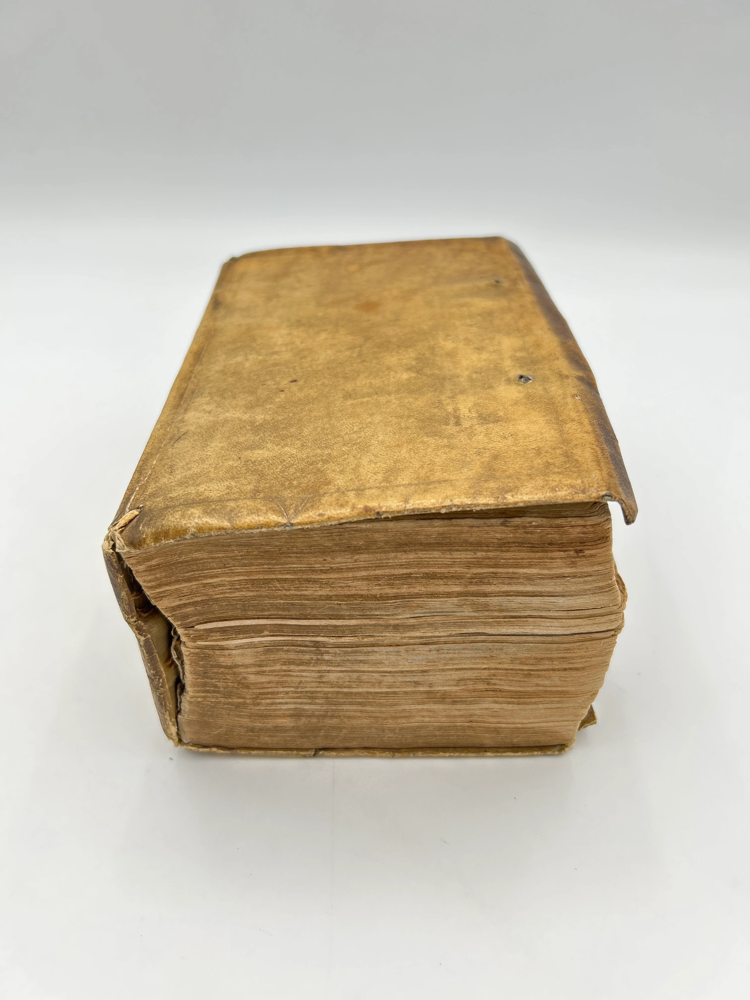 Malleus Maleficarum 1604 - Image 9