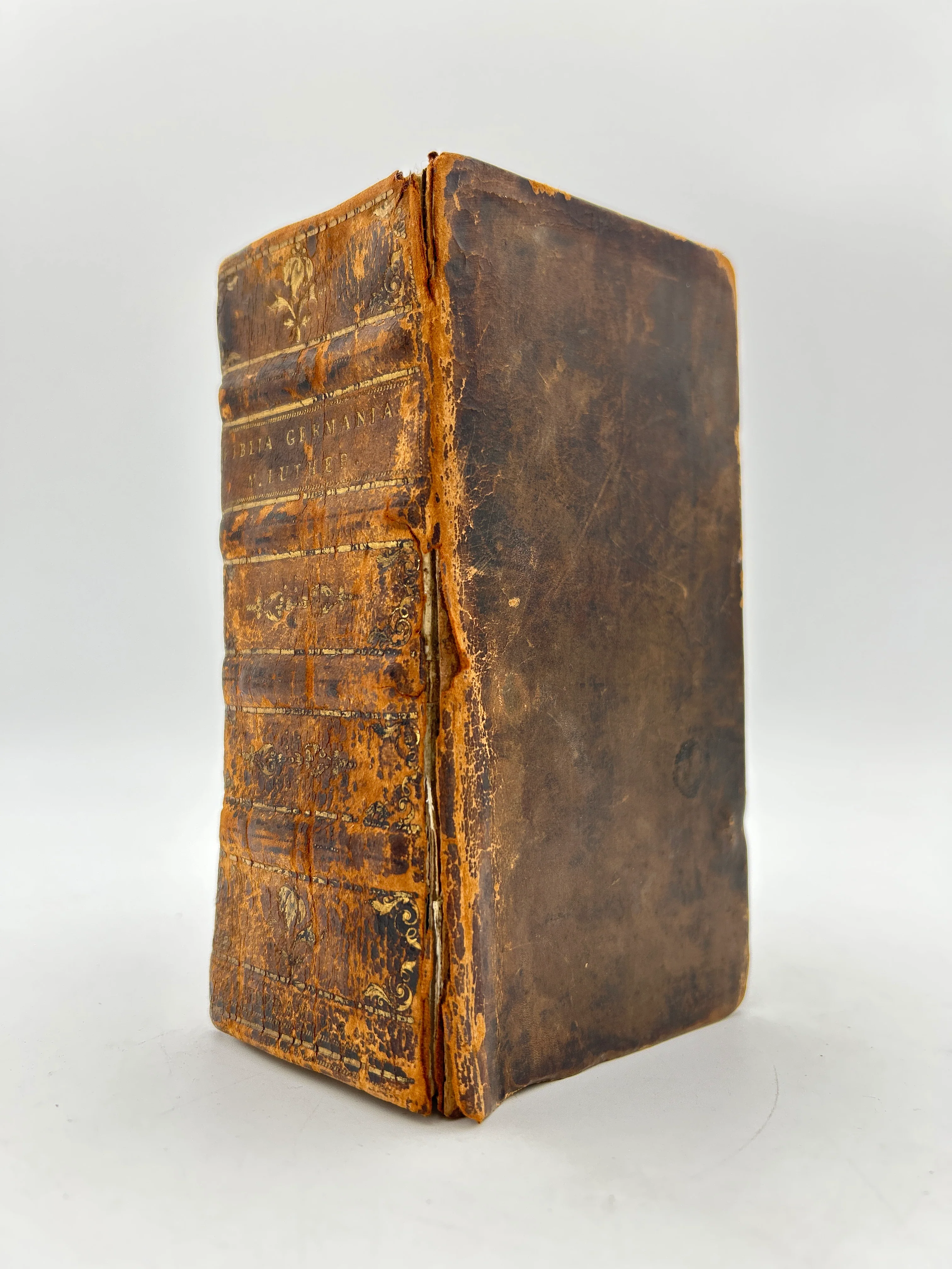 Martin Luther Bible 1649