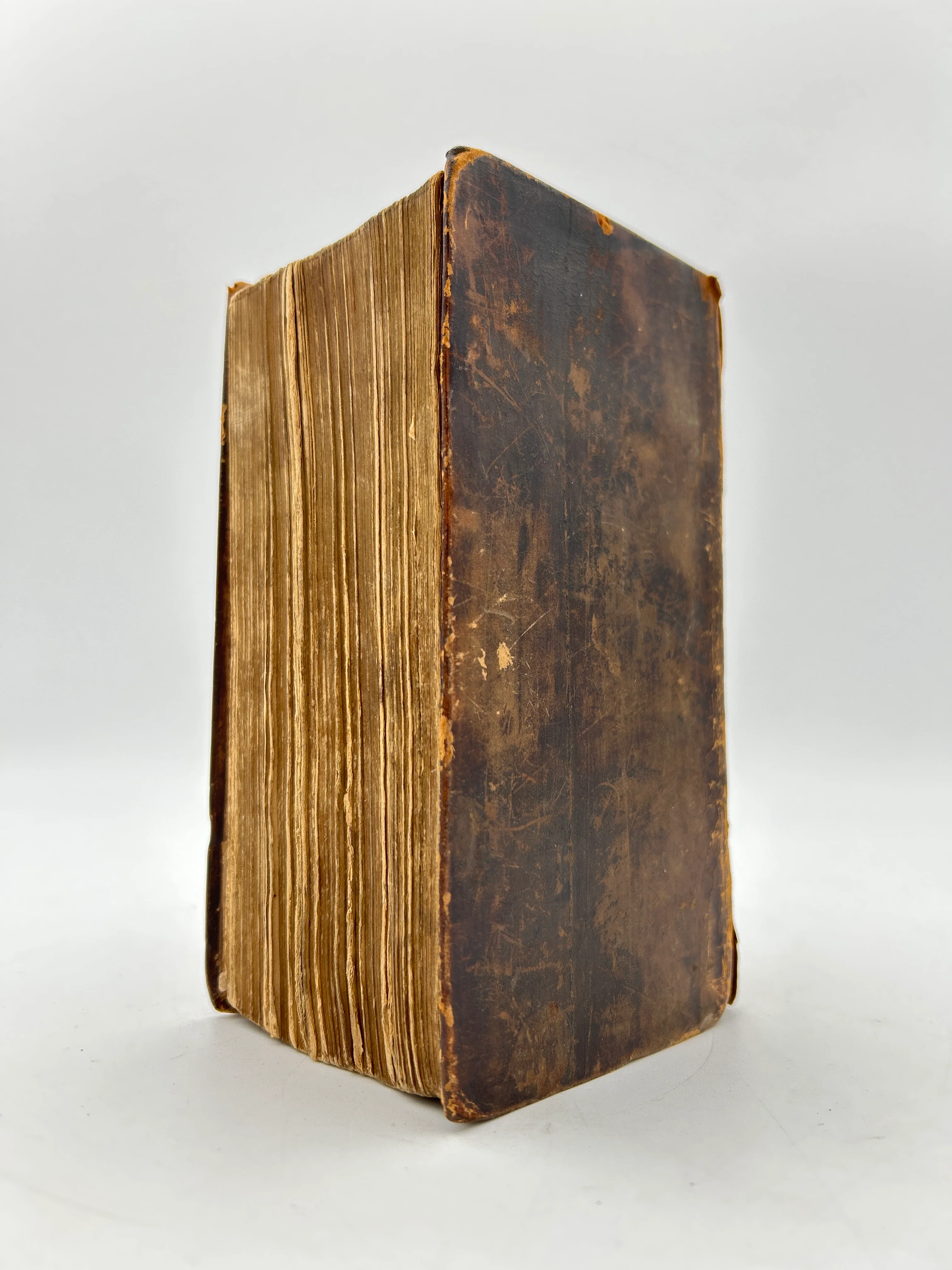 Martin Luther Bible 1649 - Image 8
