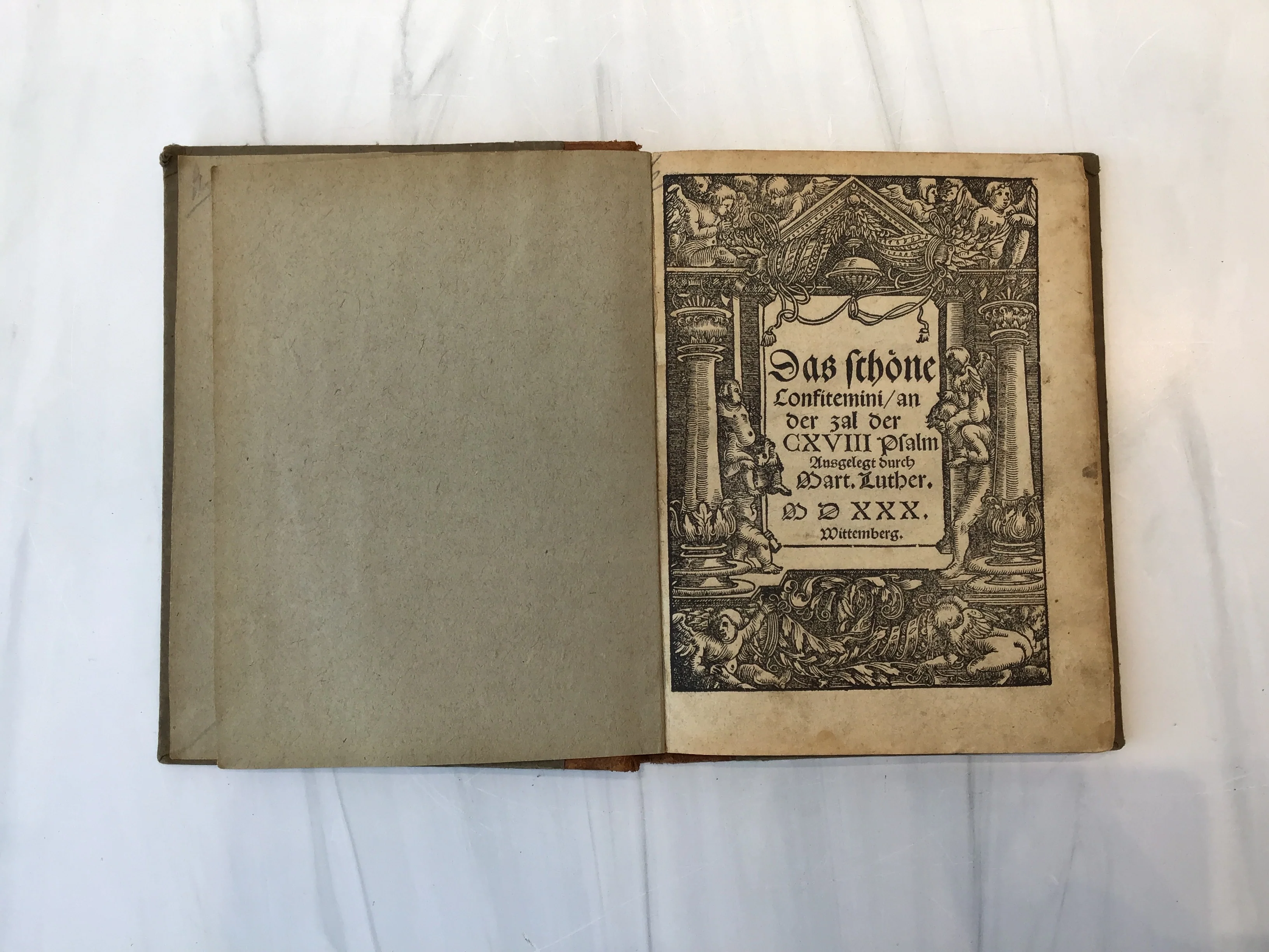 Martin Luther Commentary Psalm 118