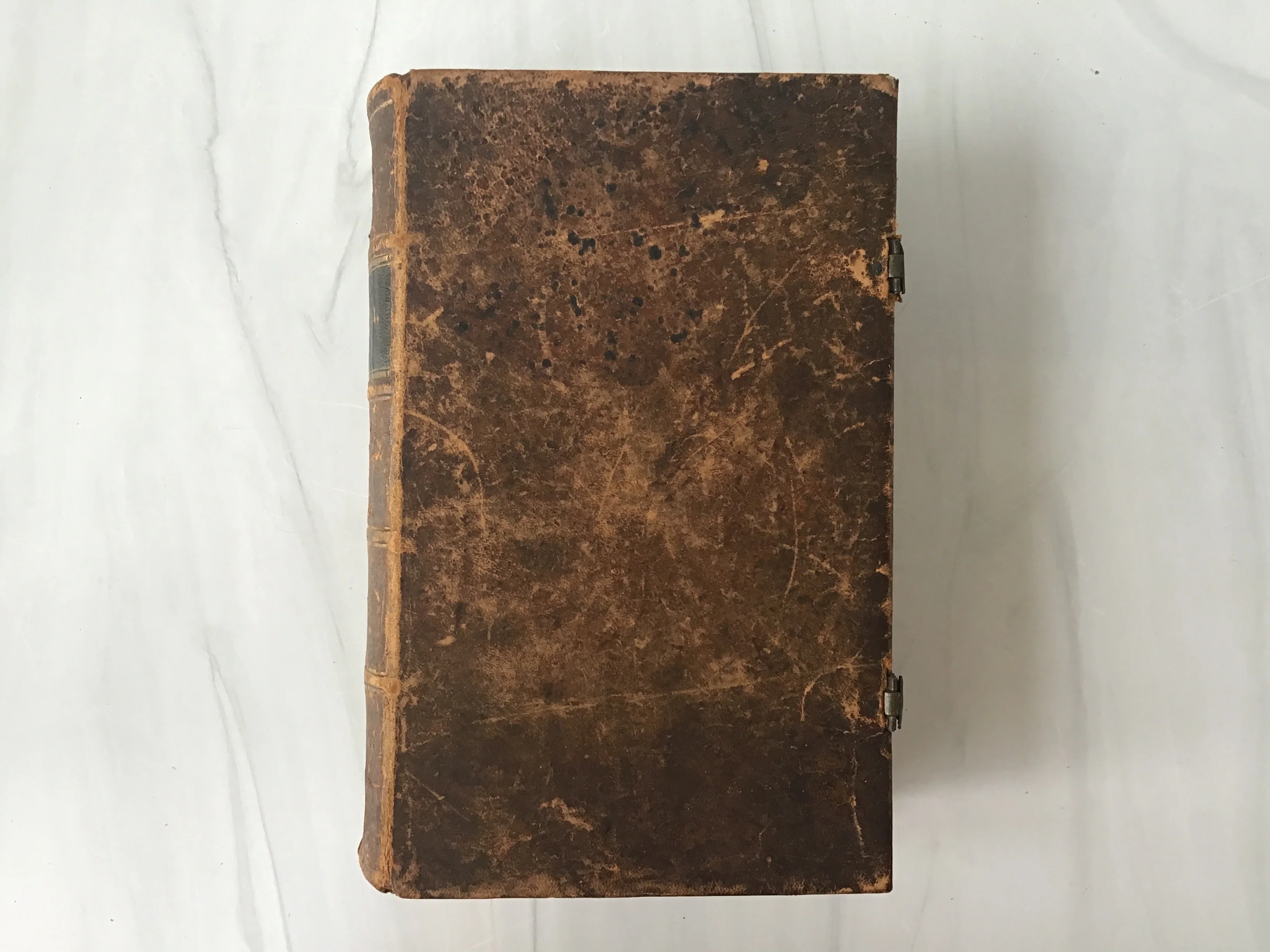 Martin Luther German Bible