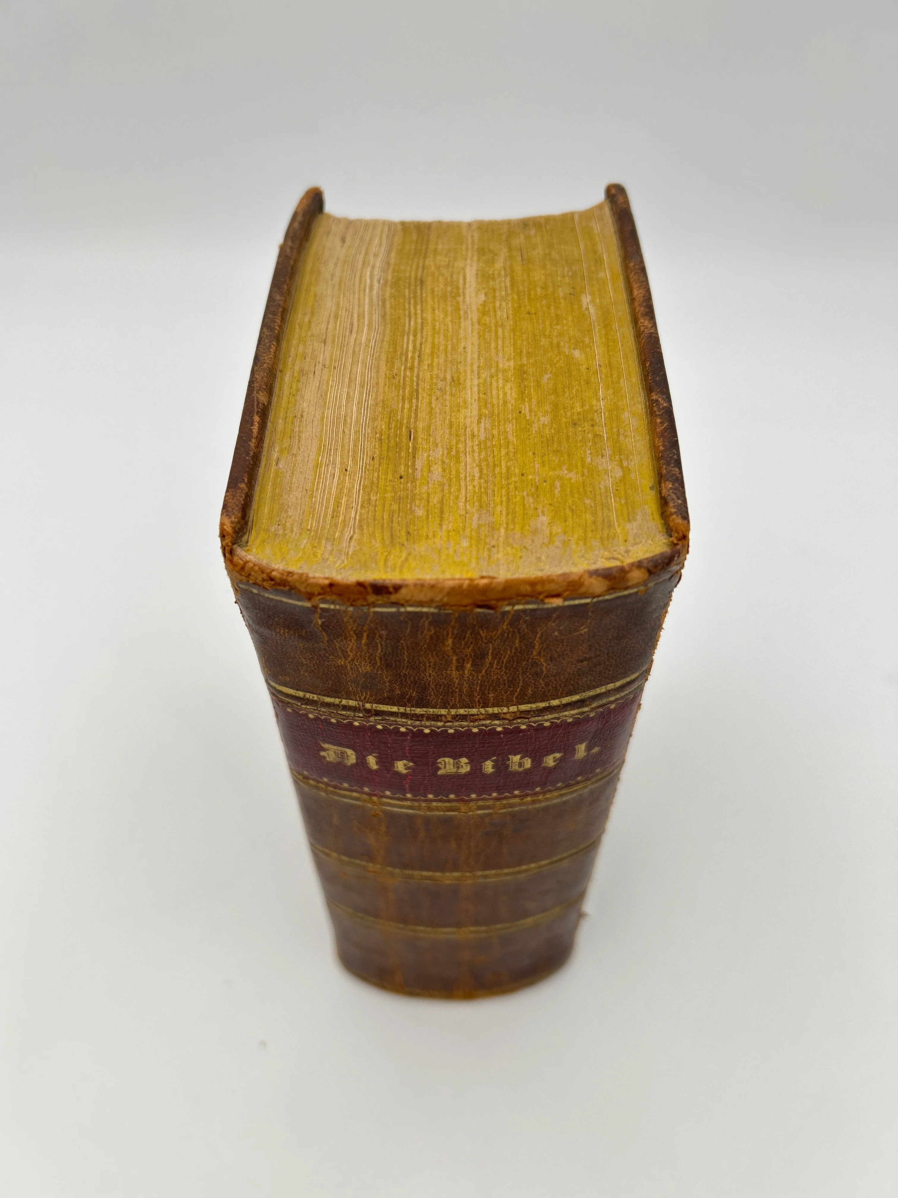 Martin Luther German Bible - Image 8