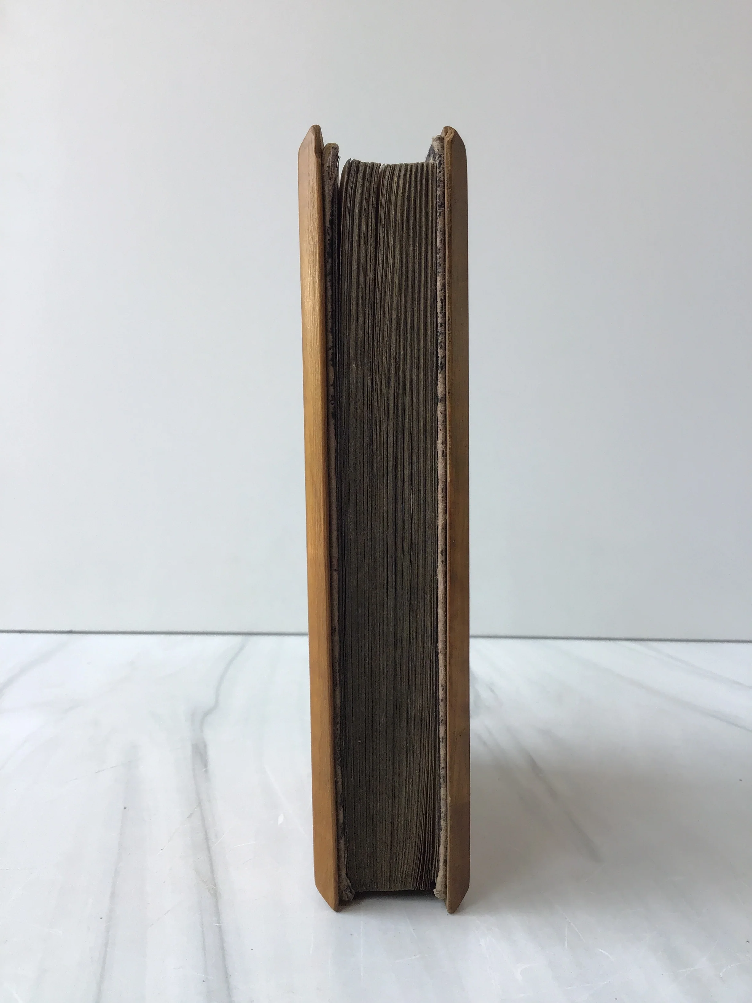 -Martin Luther New Testament and Psalms* - Image 3