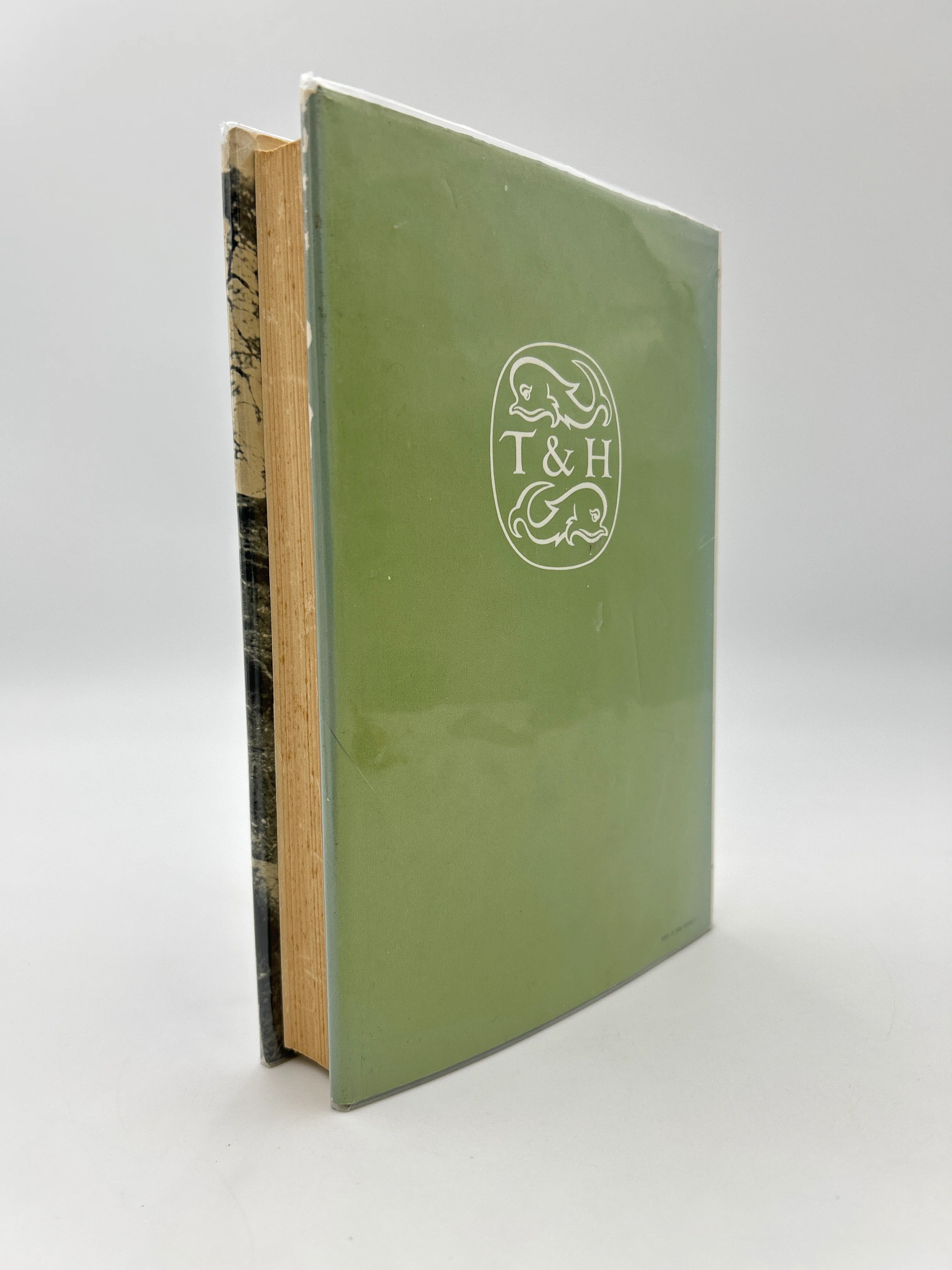 Master of Middle-Earth - Image 4