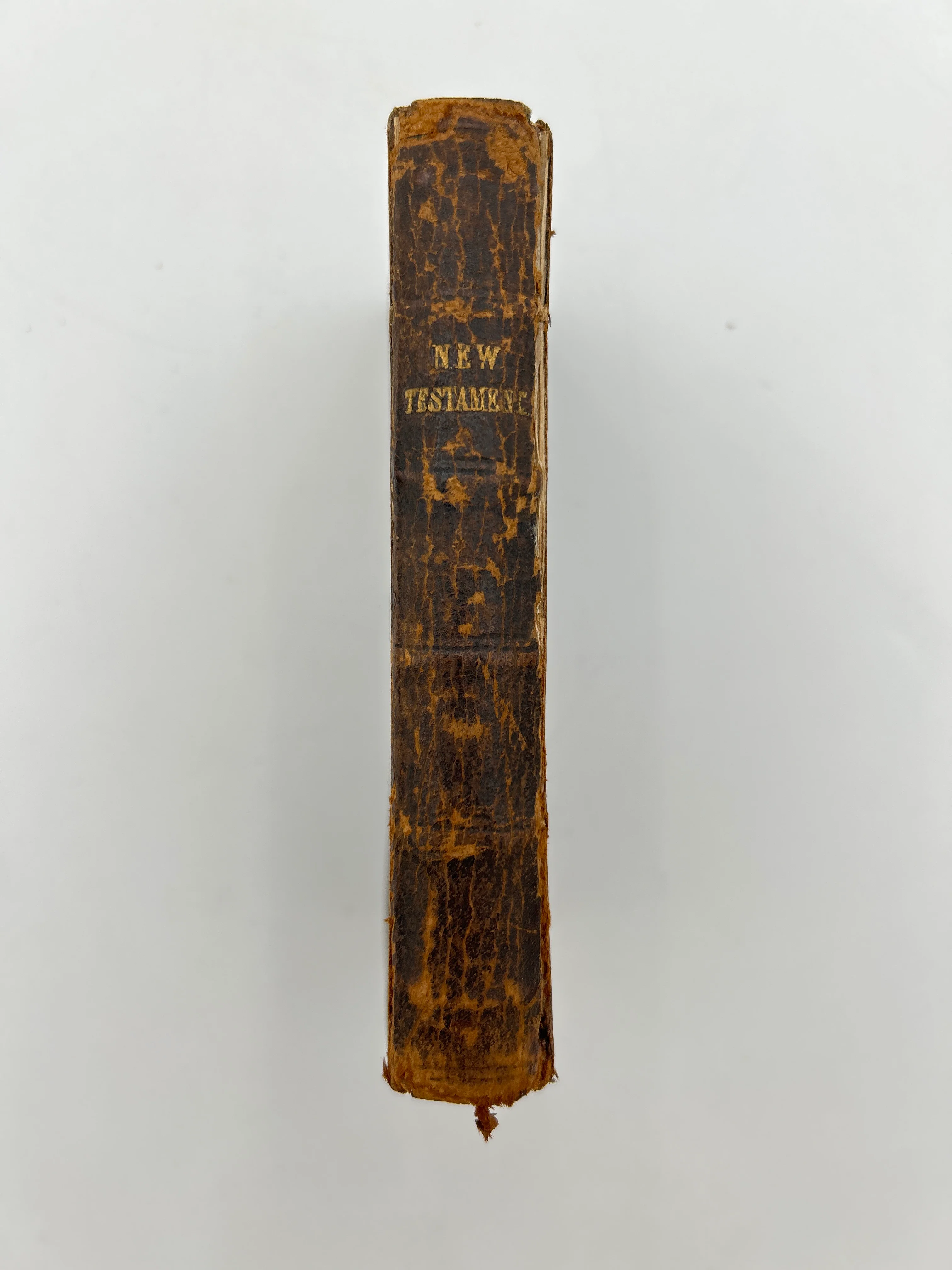 Naval and Military Bible Society Bible - Image 6