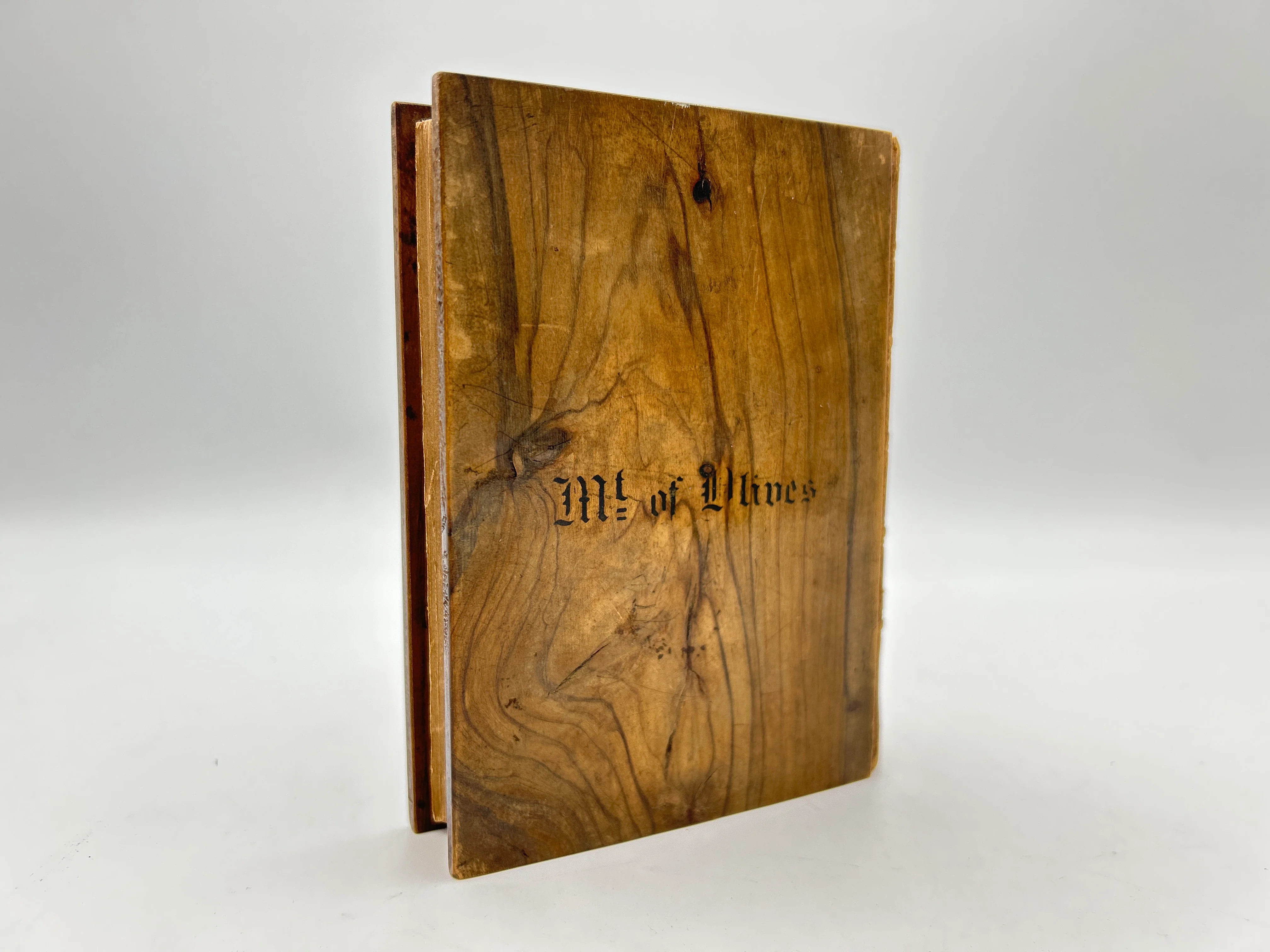 New Testament ( Mount of Olives) - Image 2