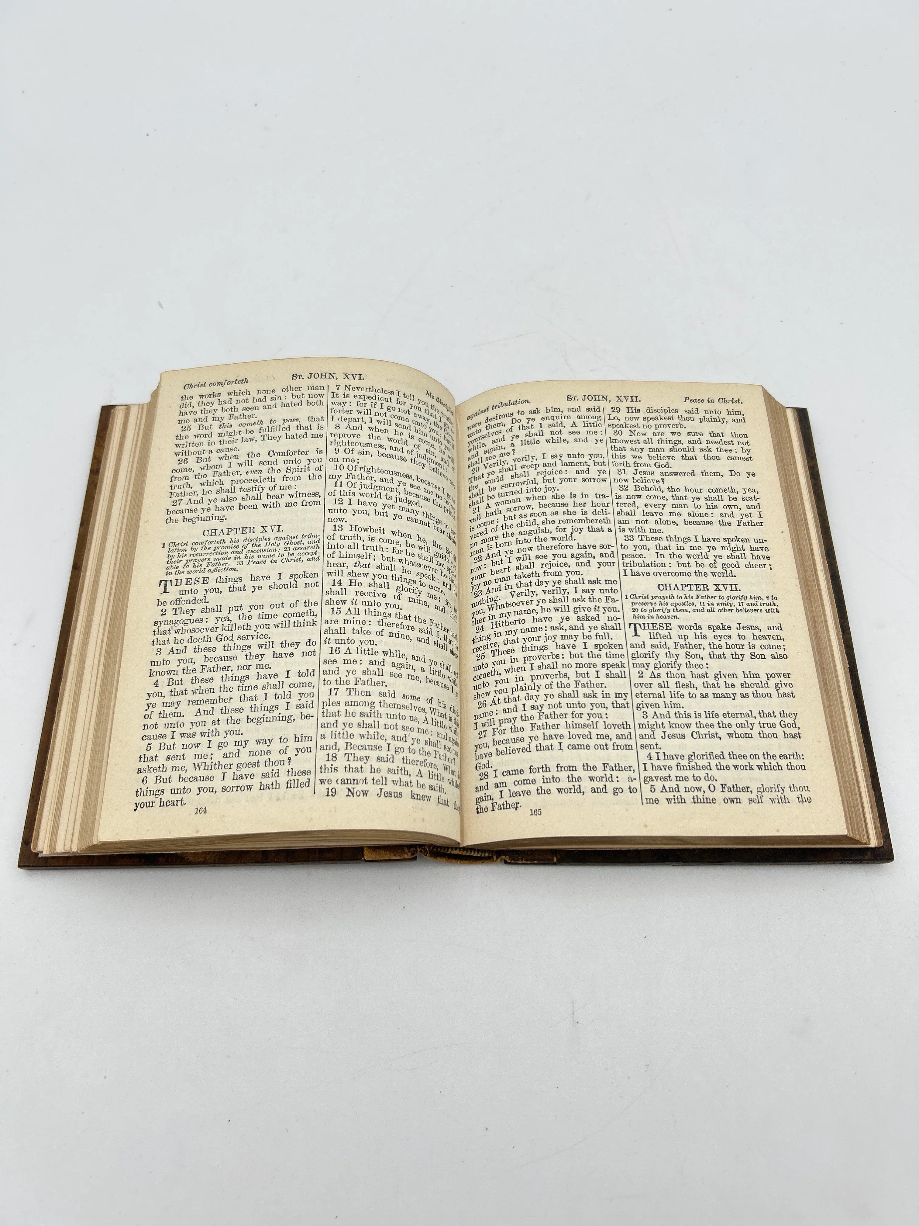 New Testament ( Mount of Olives) - Image 5