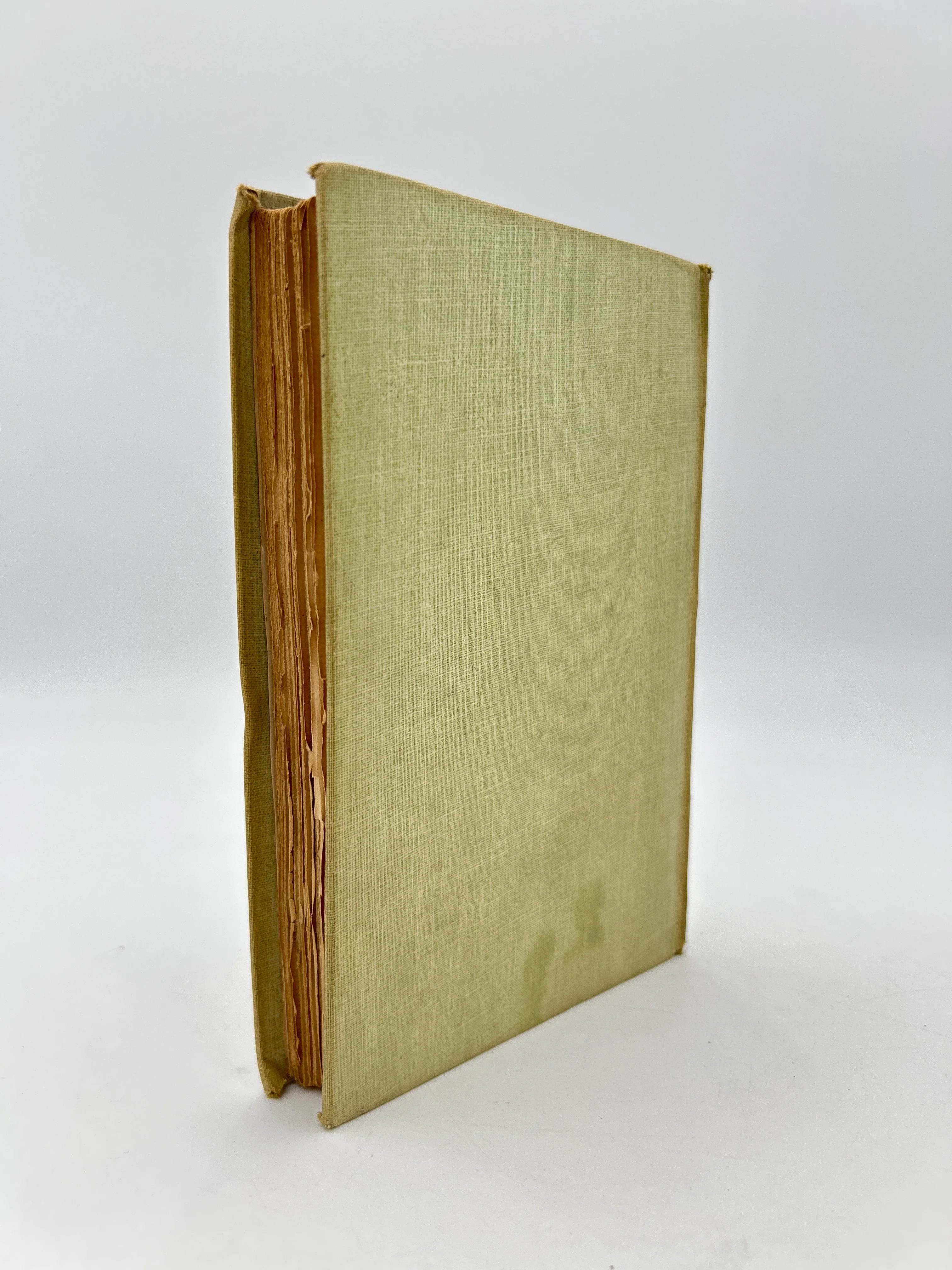 Northanger Abbey - Image 6