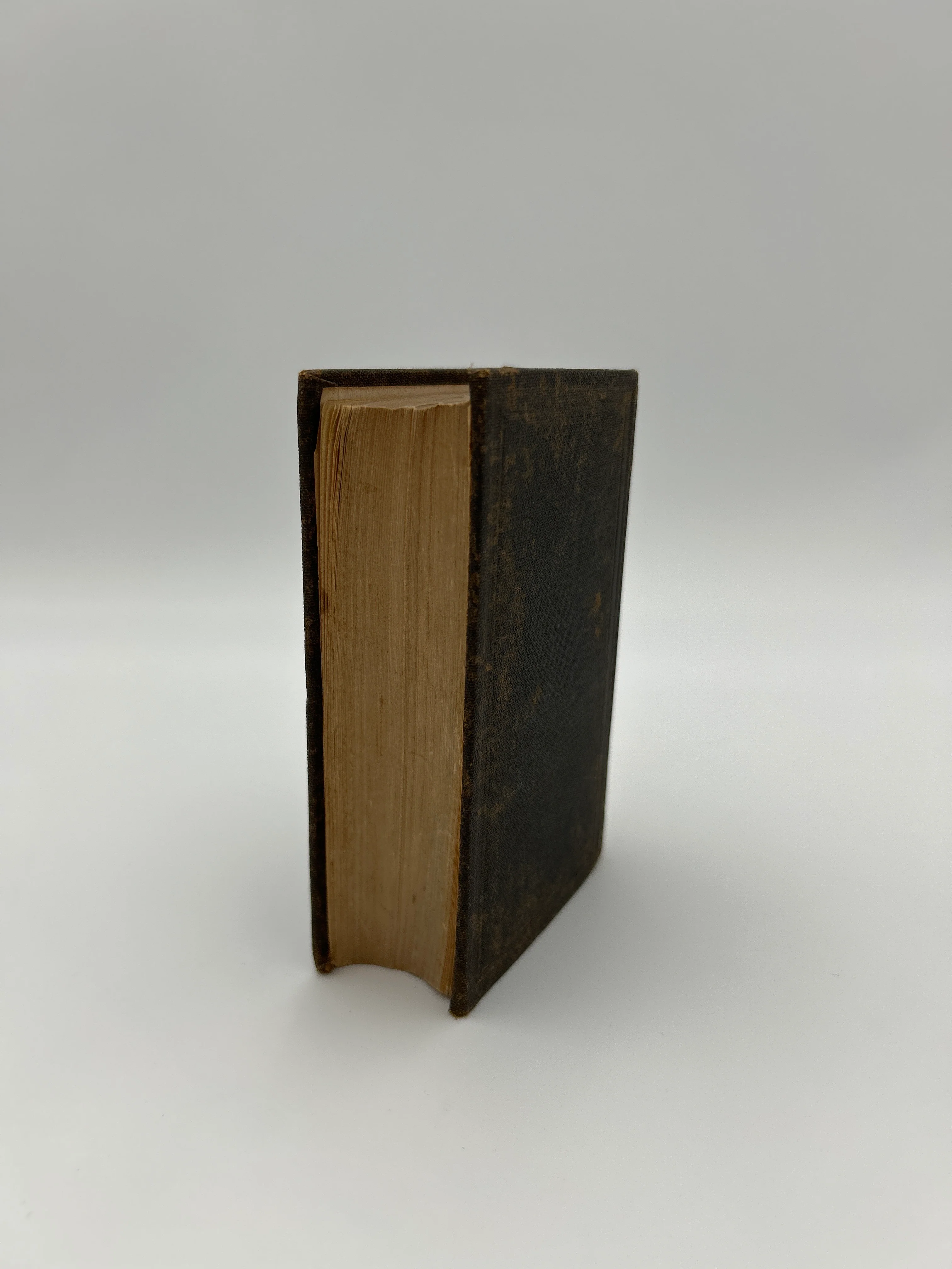 Novum Testamentum and Lexicon - Image 3