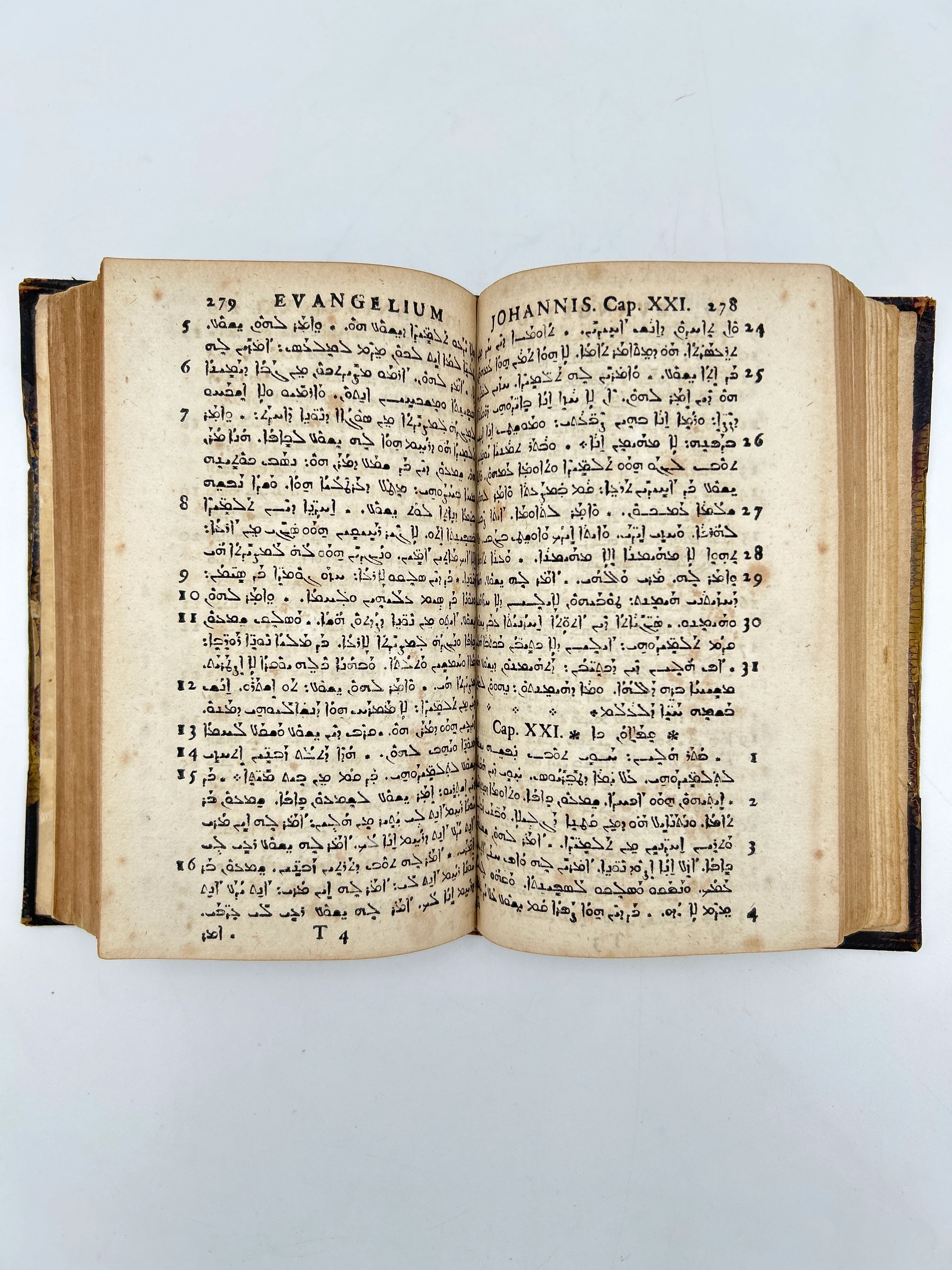 Novum Testamentum Syriace - Image 3