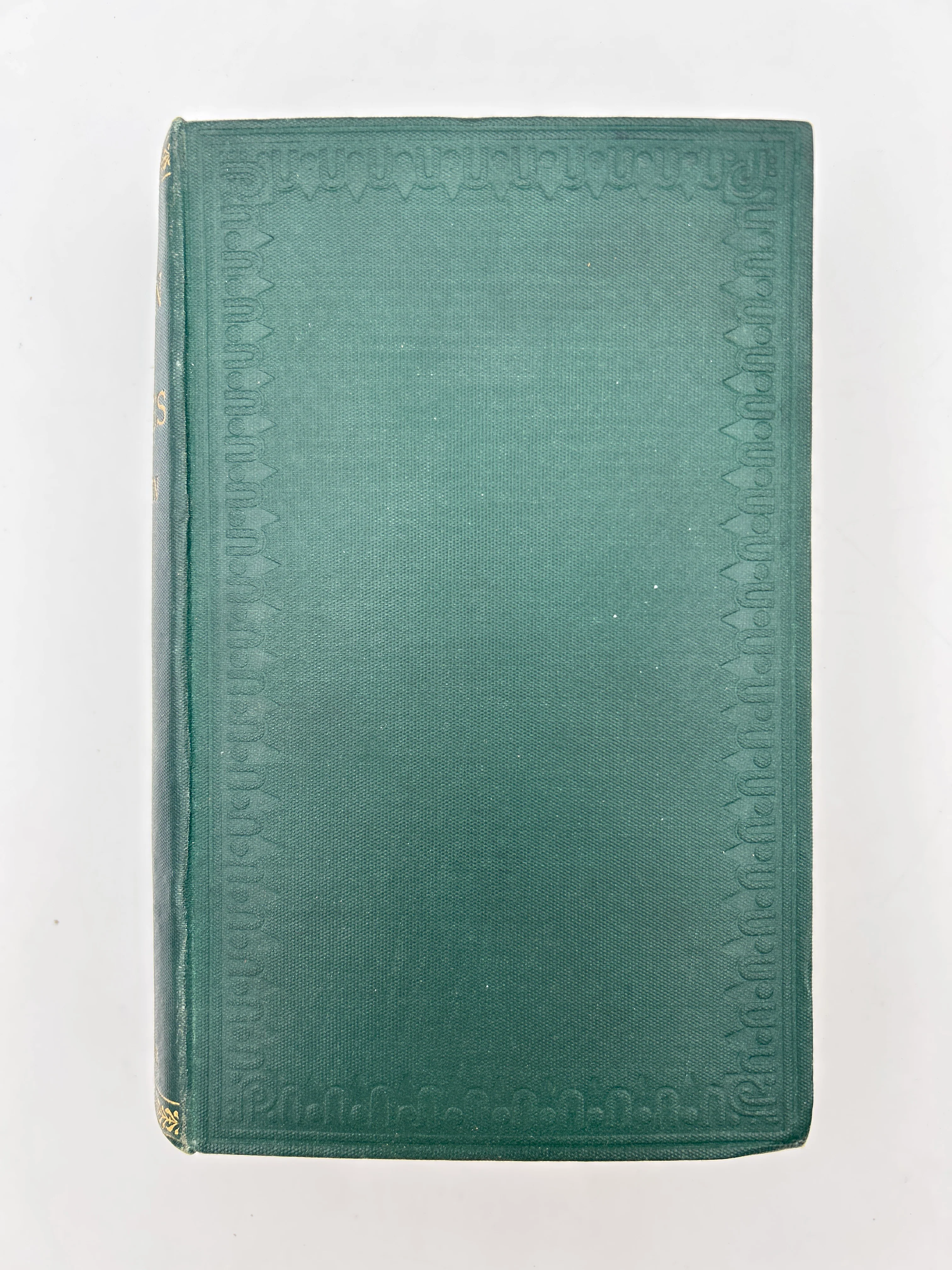 On the Origin of the Species 1880 - Image 6