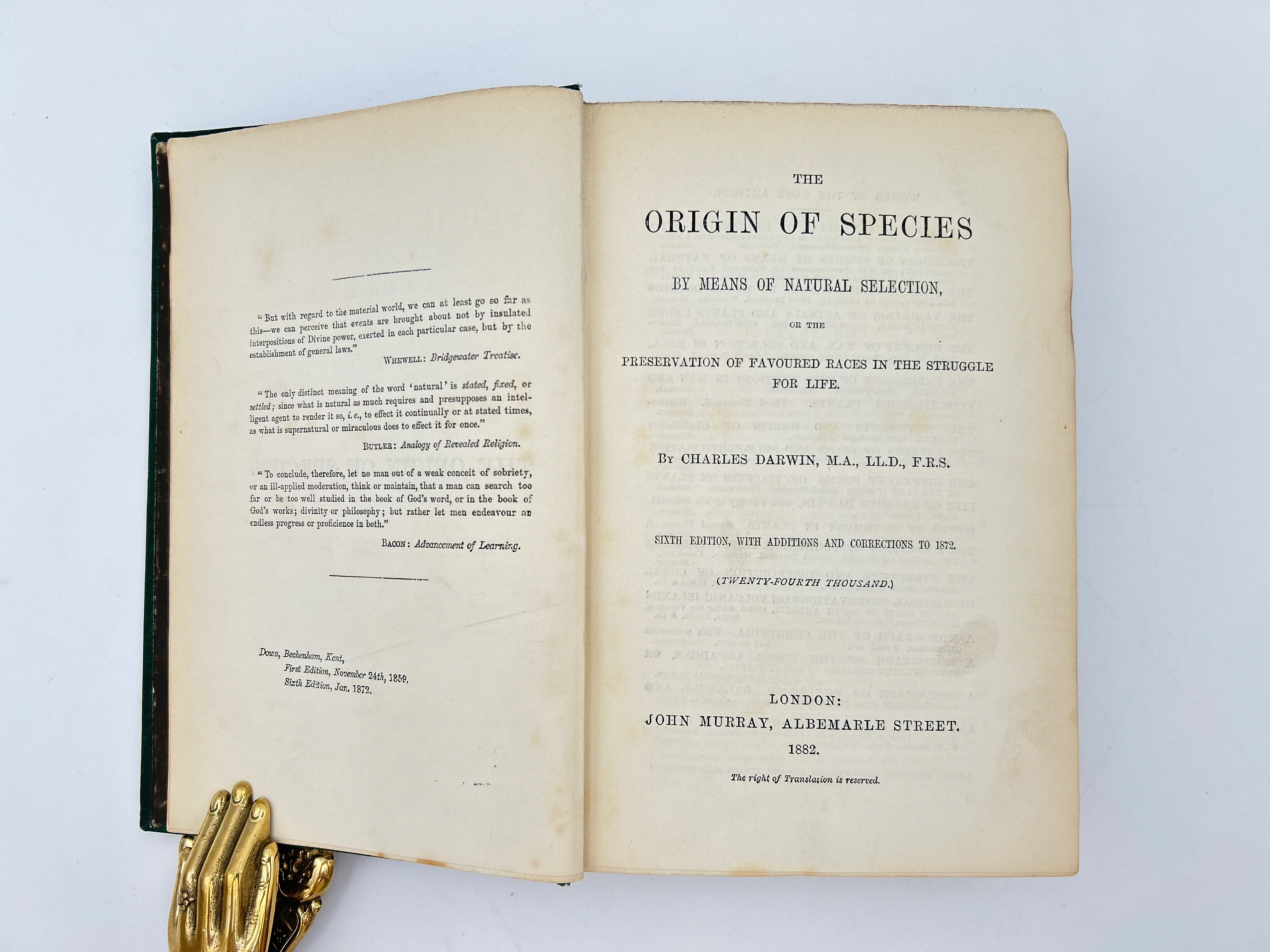 Origin of Species 1882 - Image 3