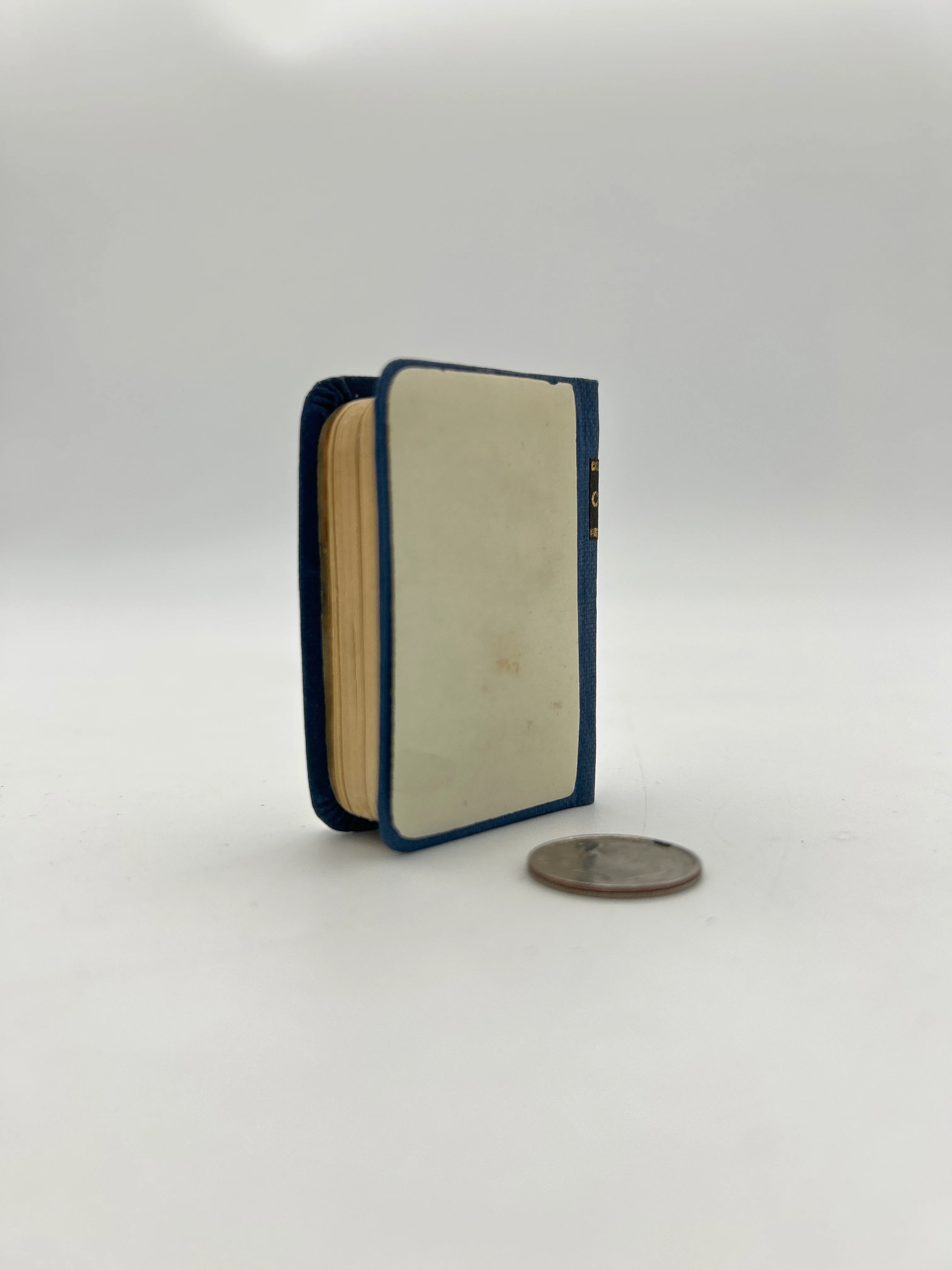 Othello in Miniature - Image 4