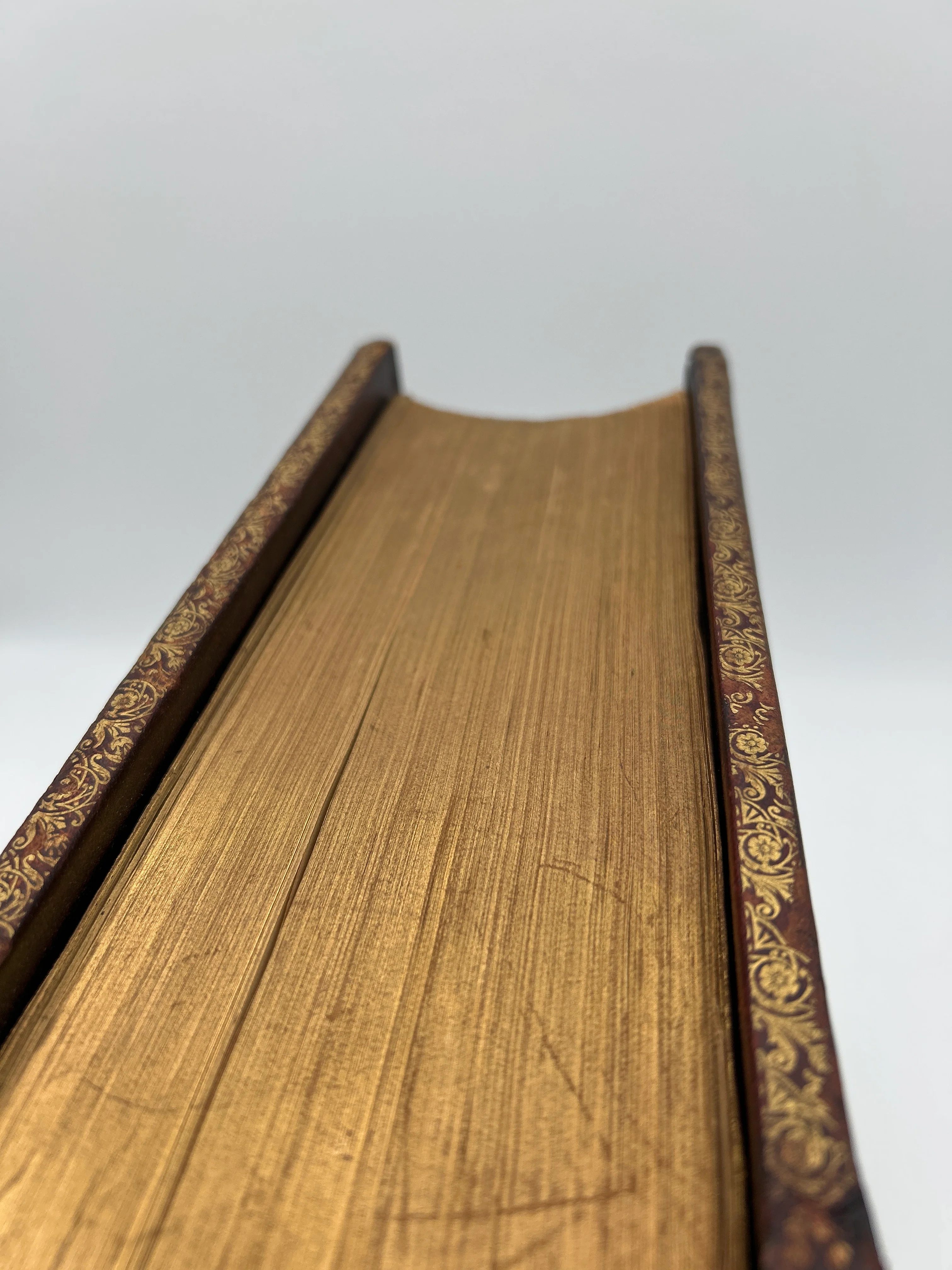 Parallel Bible 1885 - Image 2
