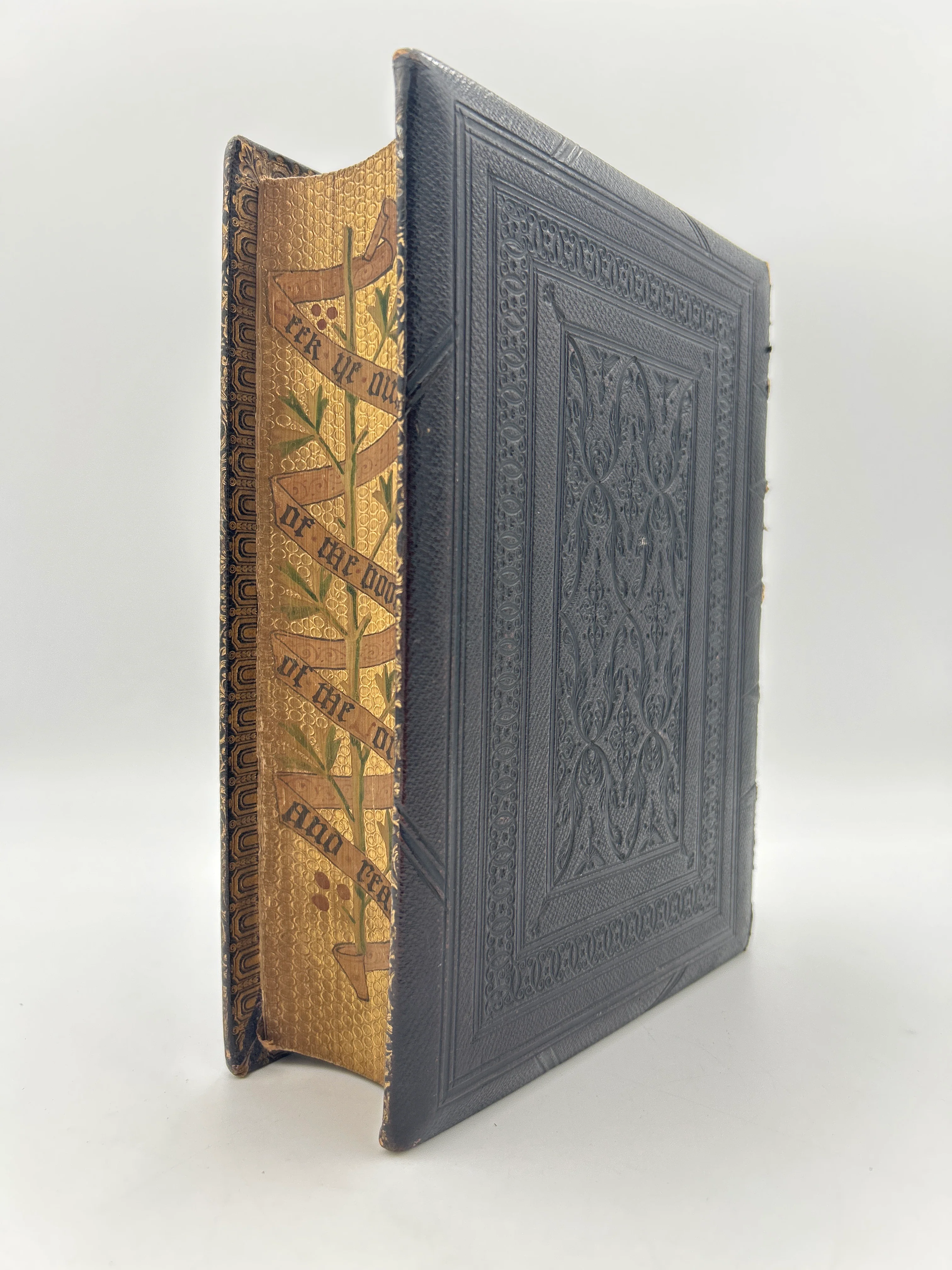 Parallel Bible 1846 With Fore Edge Painting