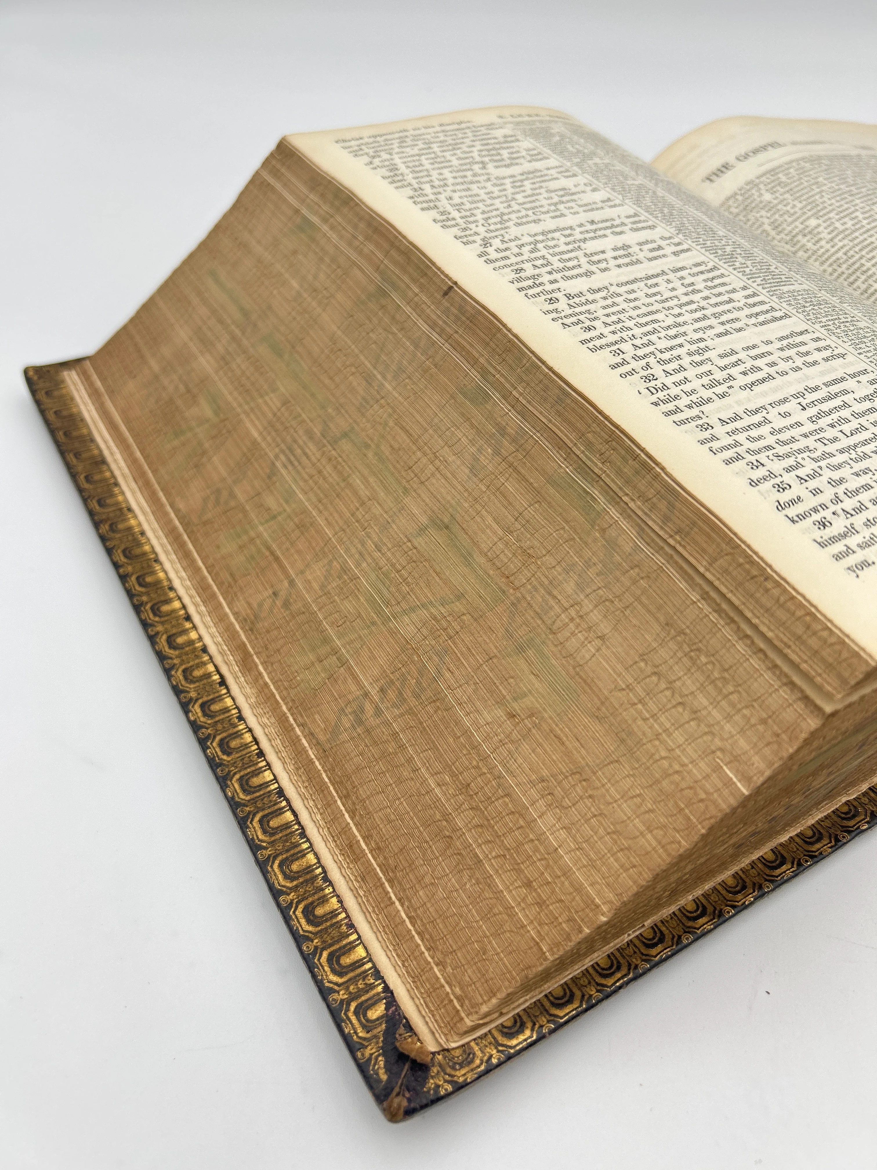 Parallel Bible 1846 With Fore Edge Painting - Image 10