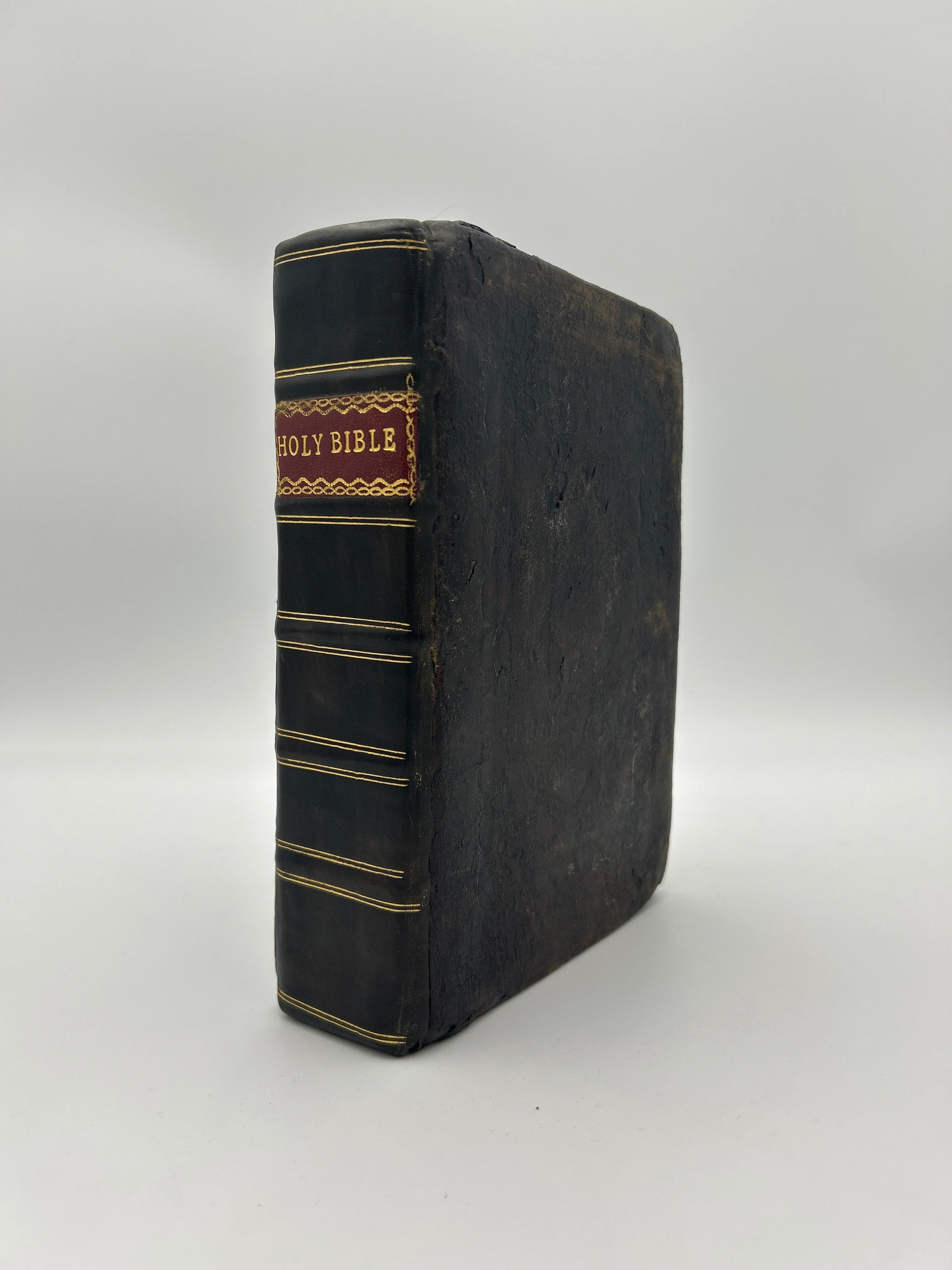 Quarto Illustrated Geneva Bible