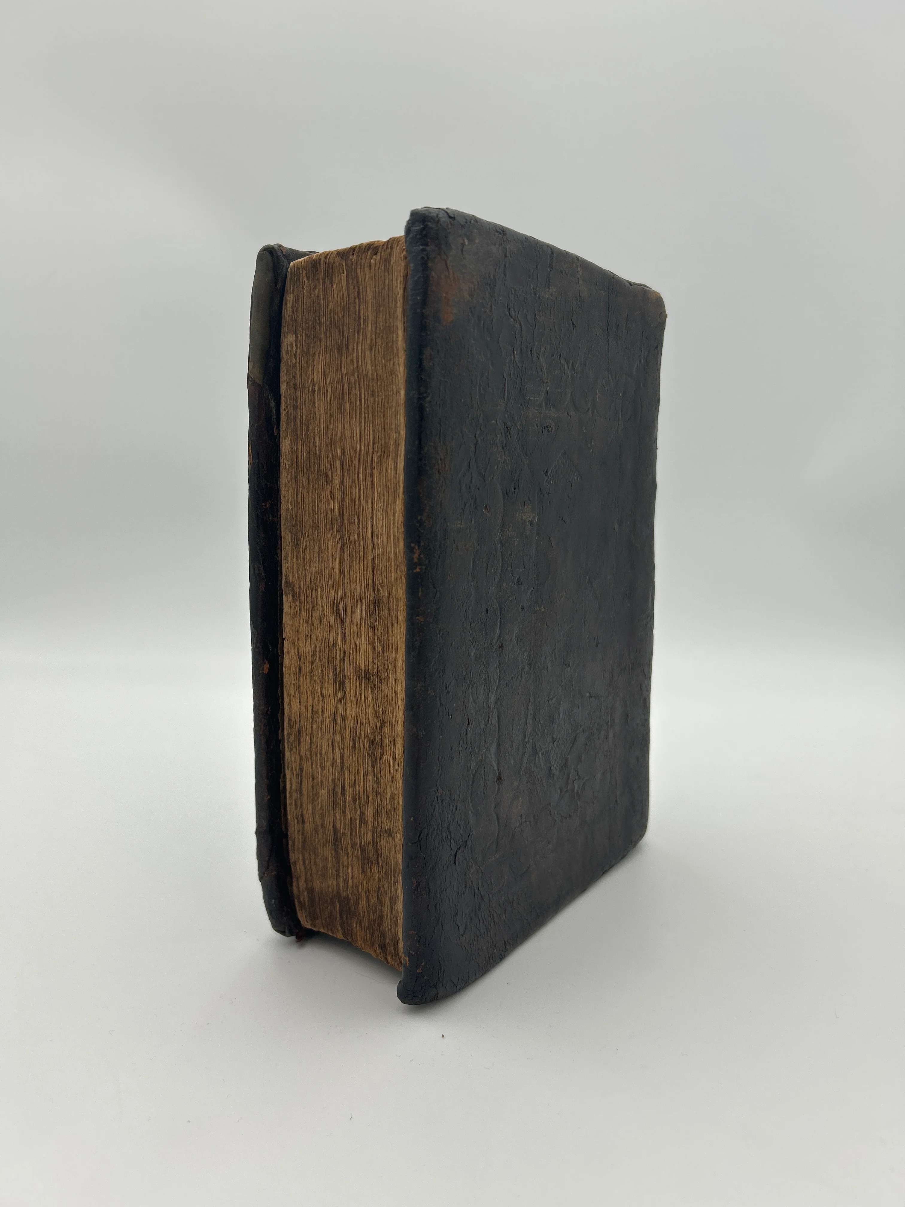 Quarto Illustrated Geneva Bible - Image 2