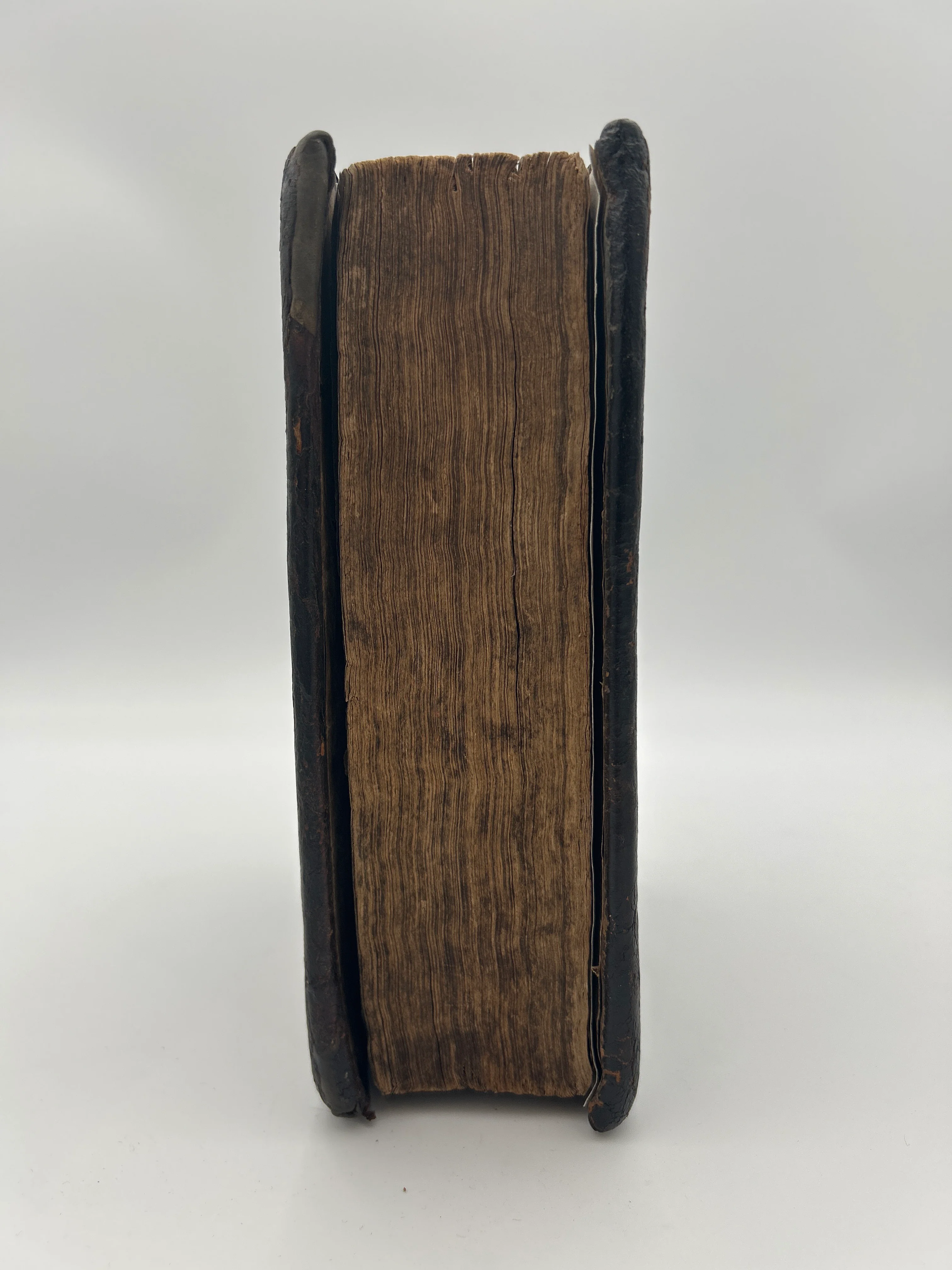 Quarto Illustrated Geneva Bible - Image 3