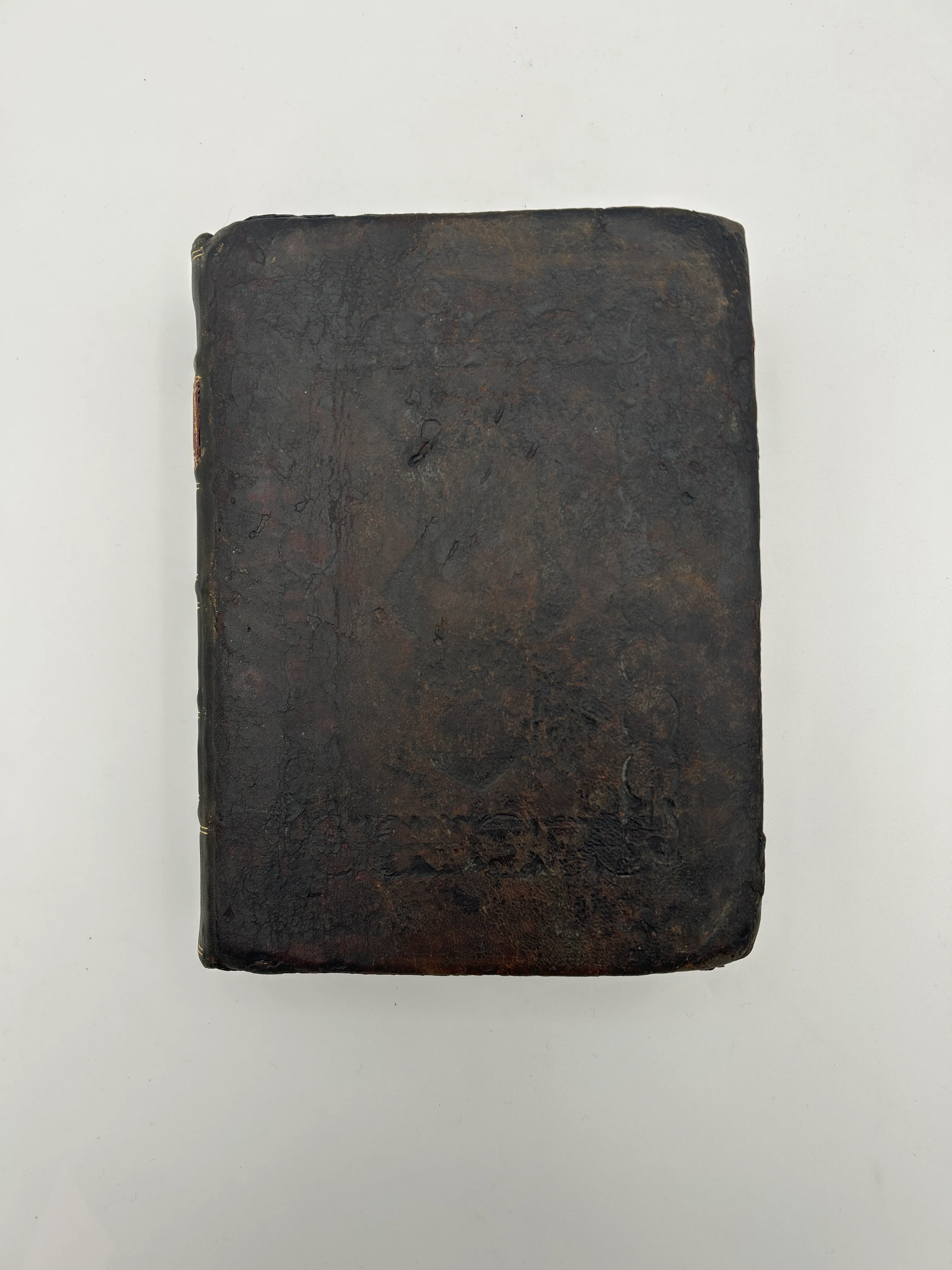Quarto Illustrated Geneva Bible - Image 4
