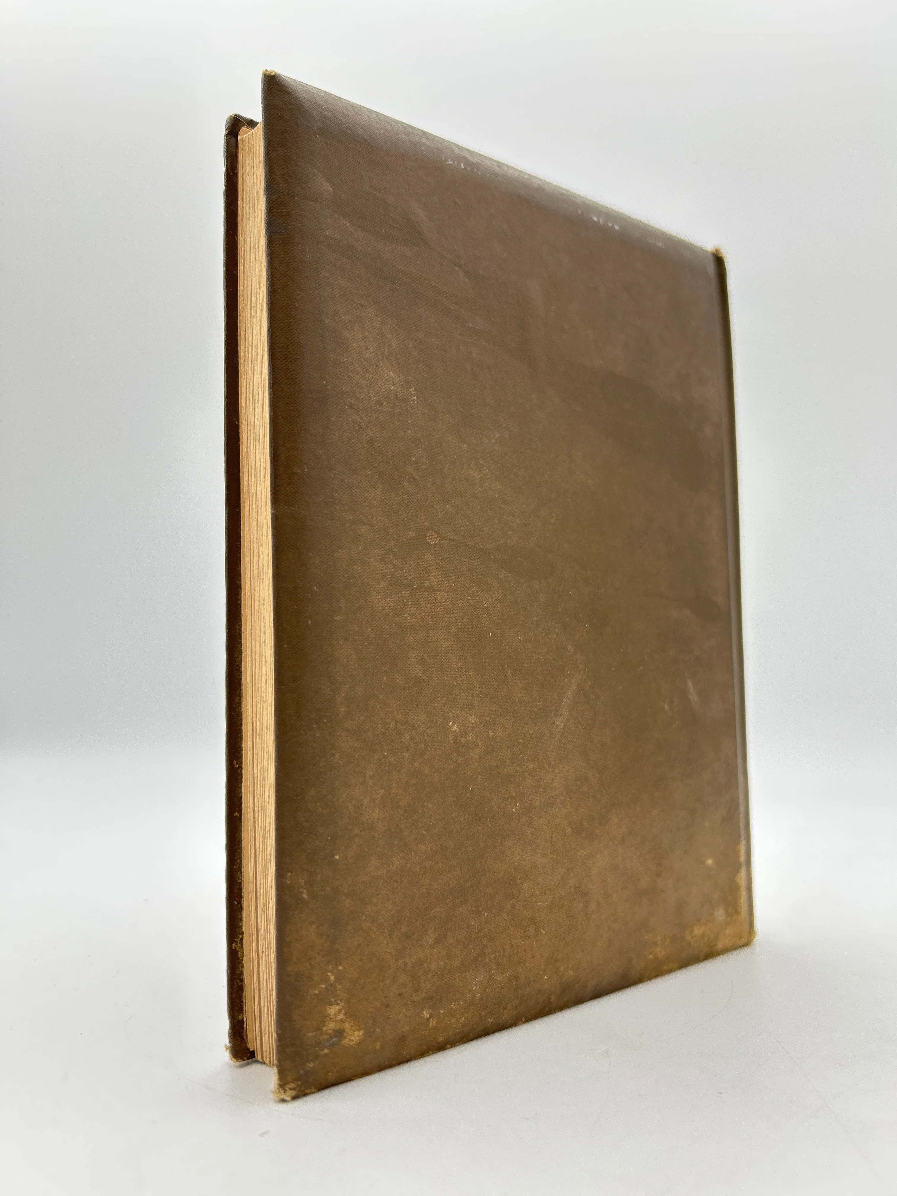 Rubaiyat - Image 11
