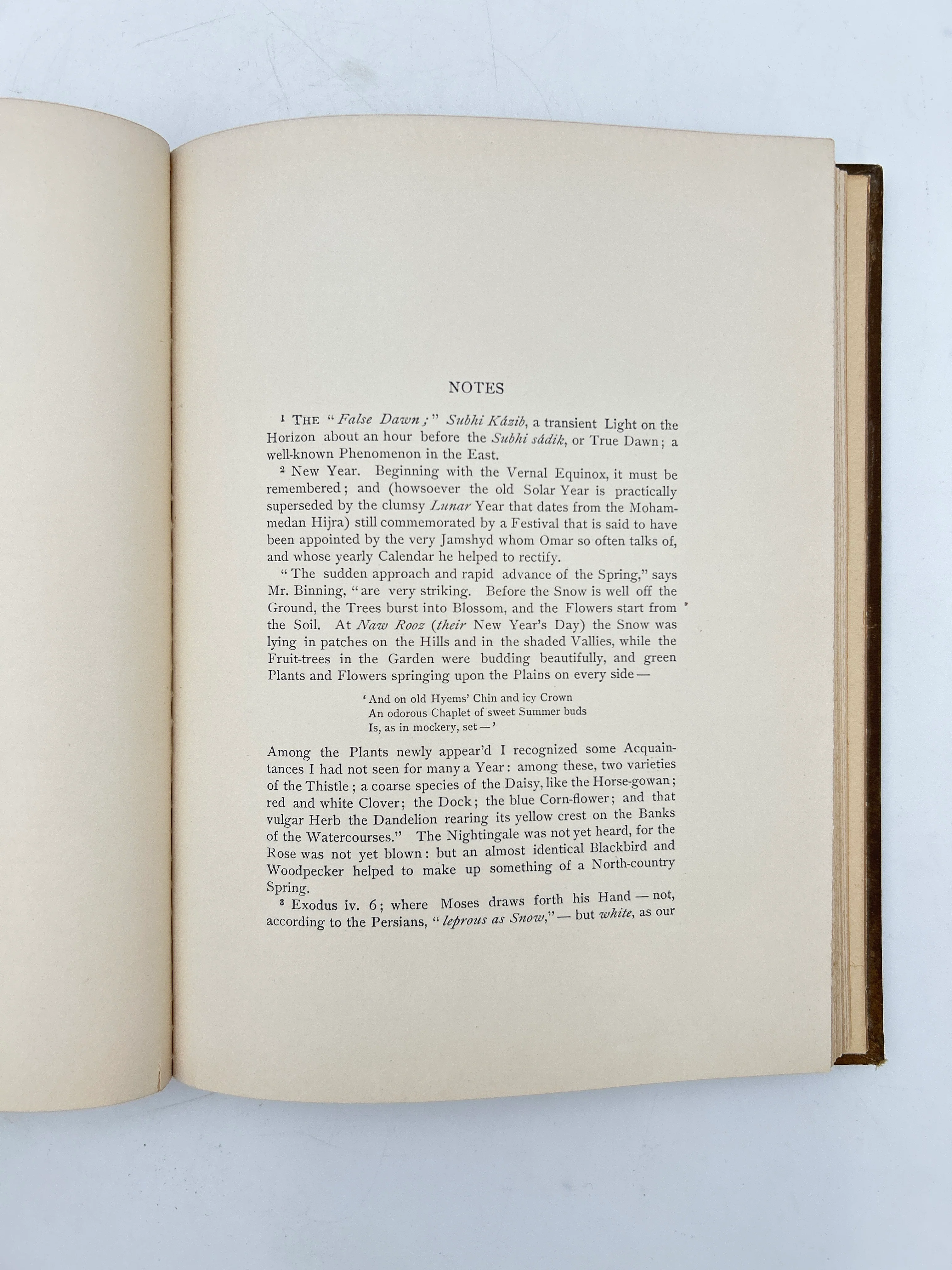 Rubaiyat - Image 6