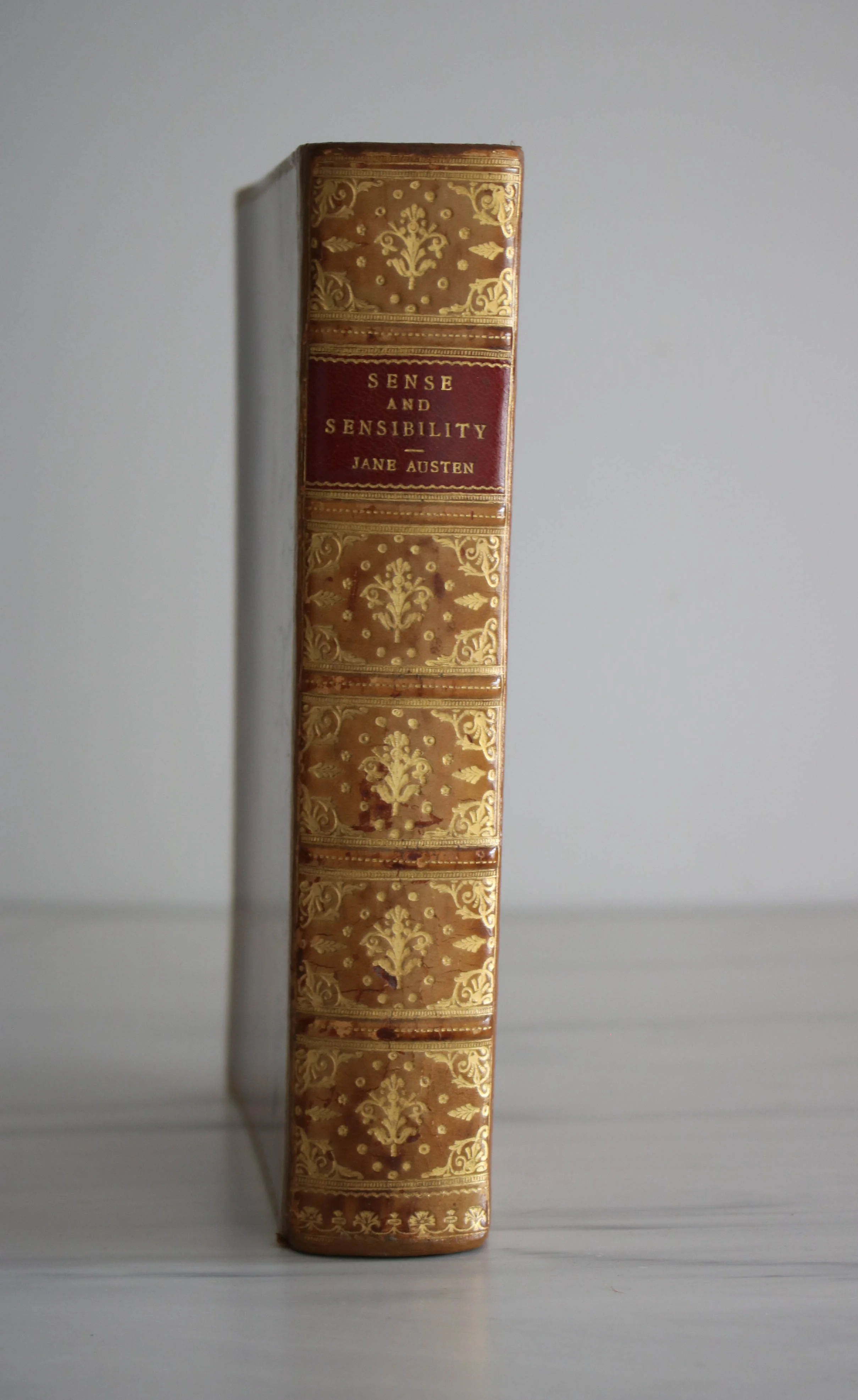 -Sense and Sensibility* - Image 2