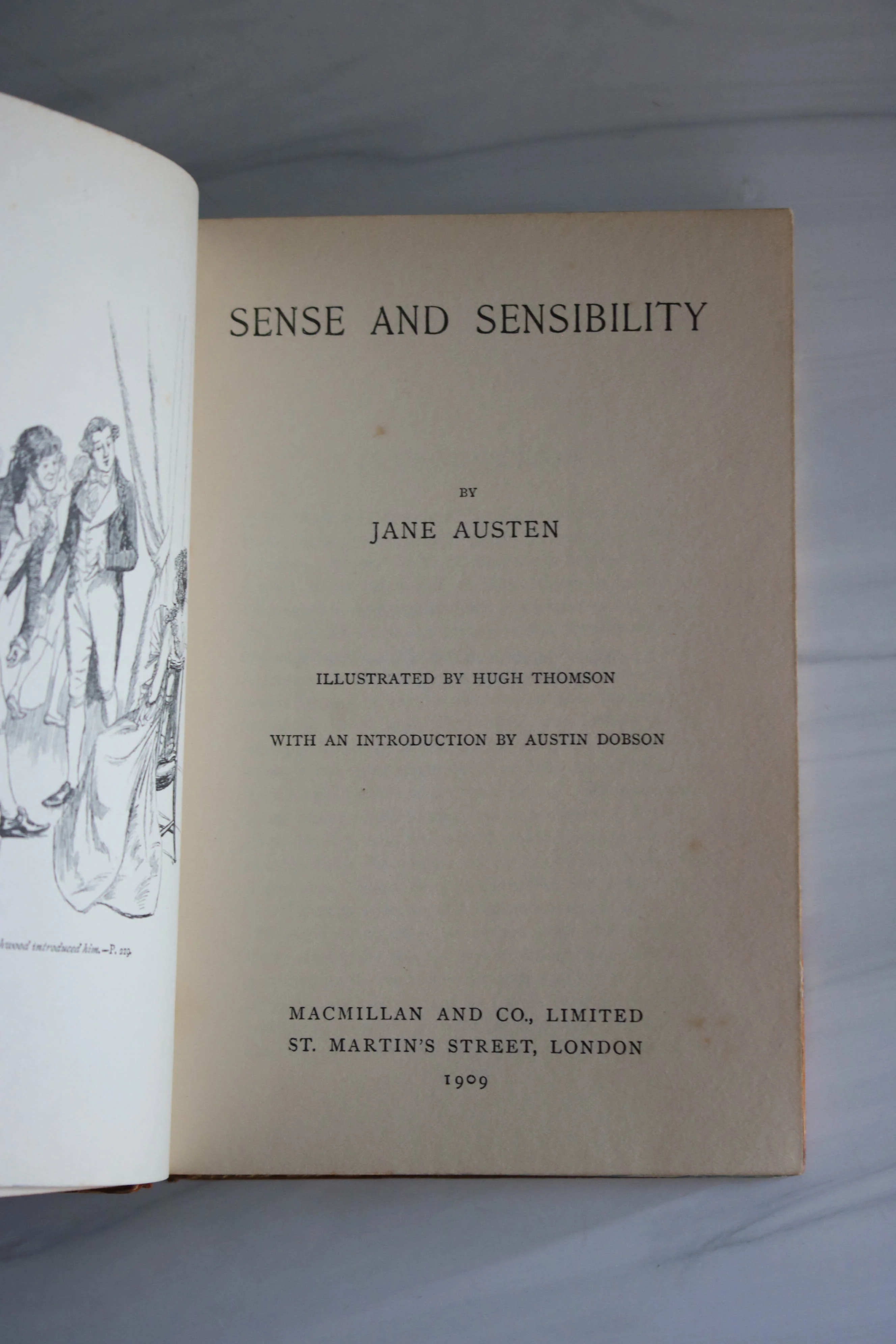 -Sense and Sensibility* - Image 5