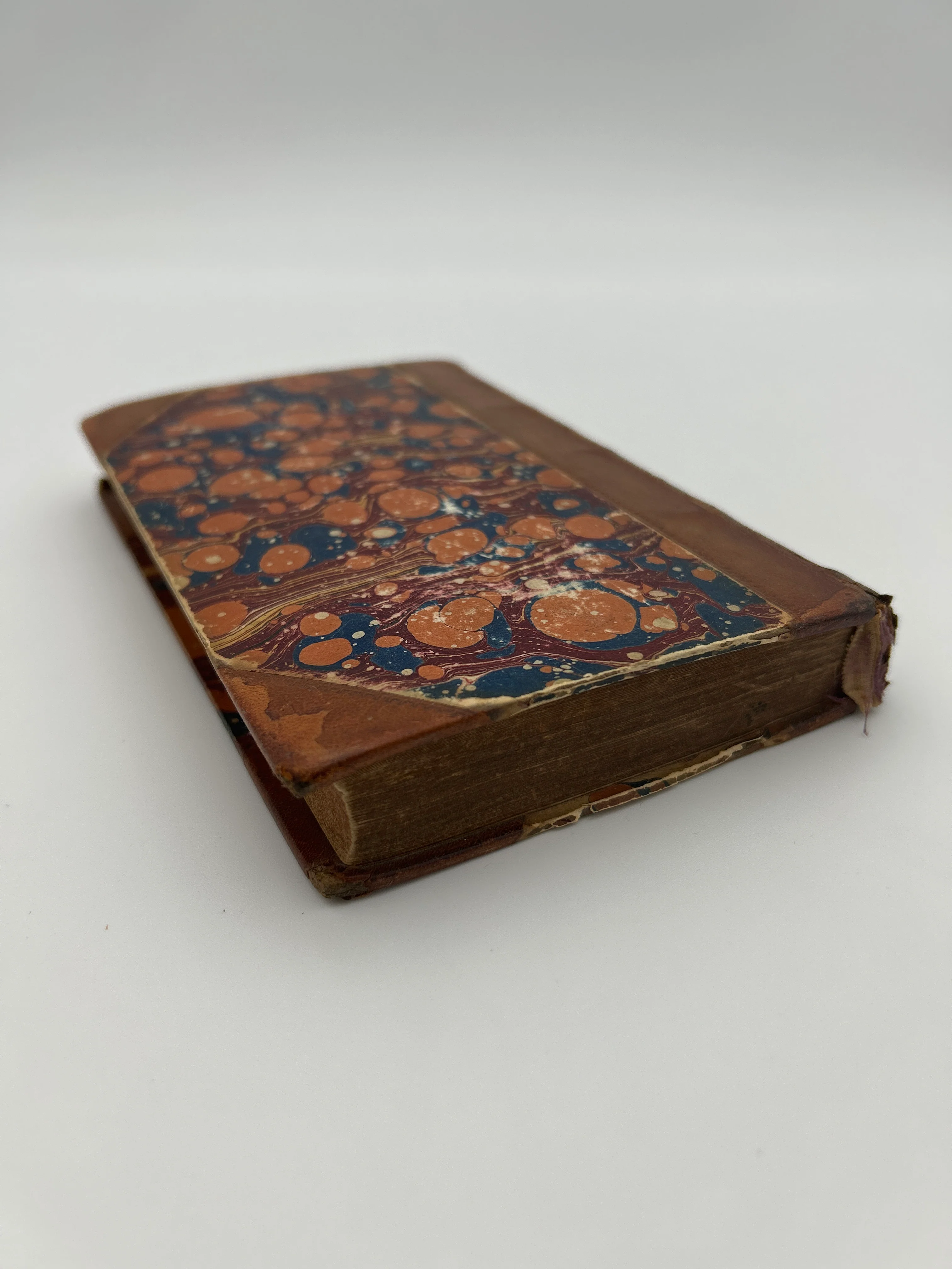 Sense and Sensibility - Image 5