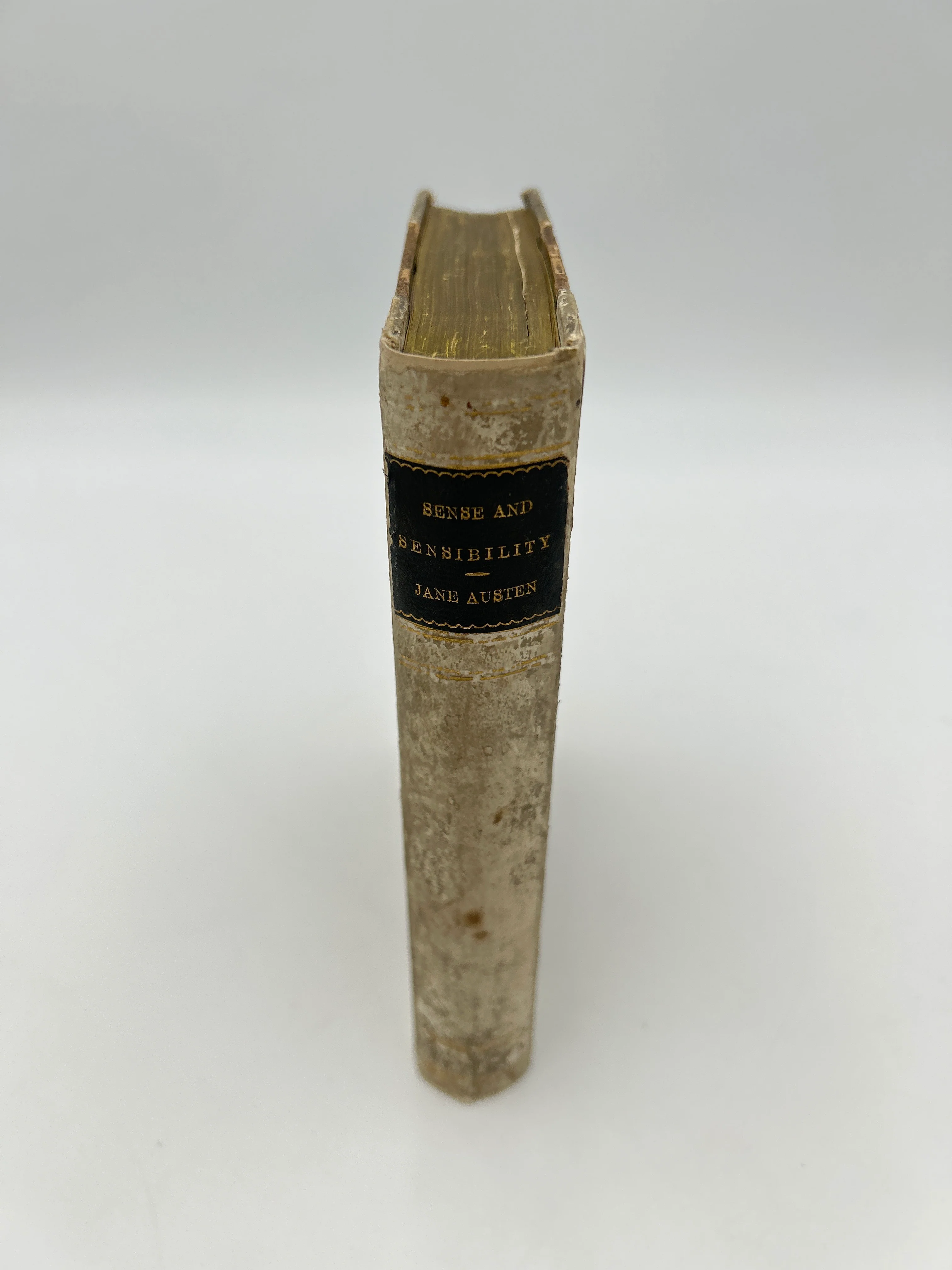 Sense and Sensibility - Image 8
