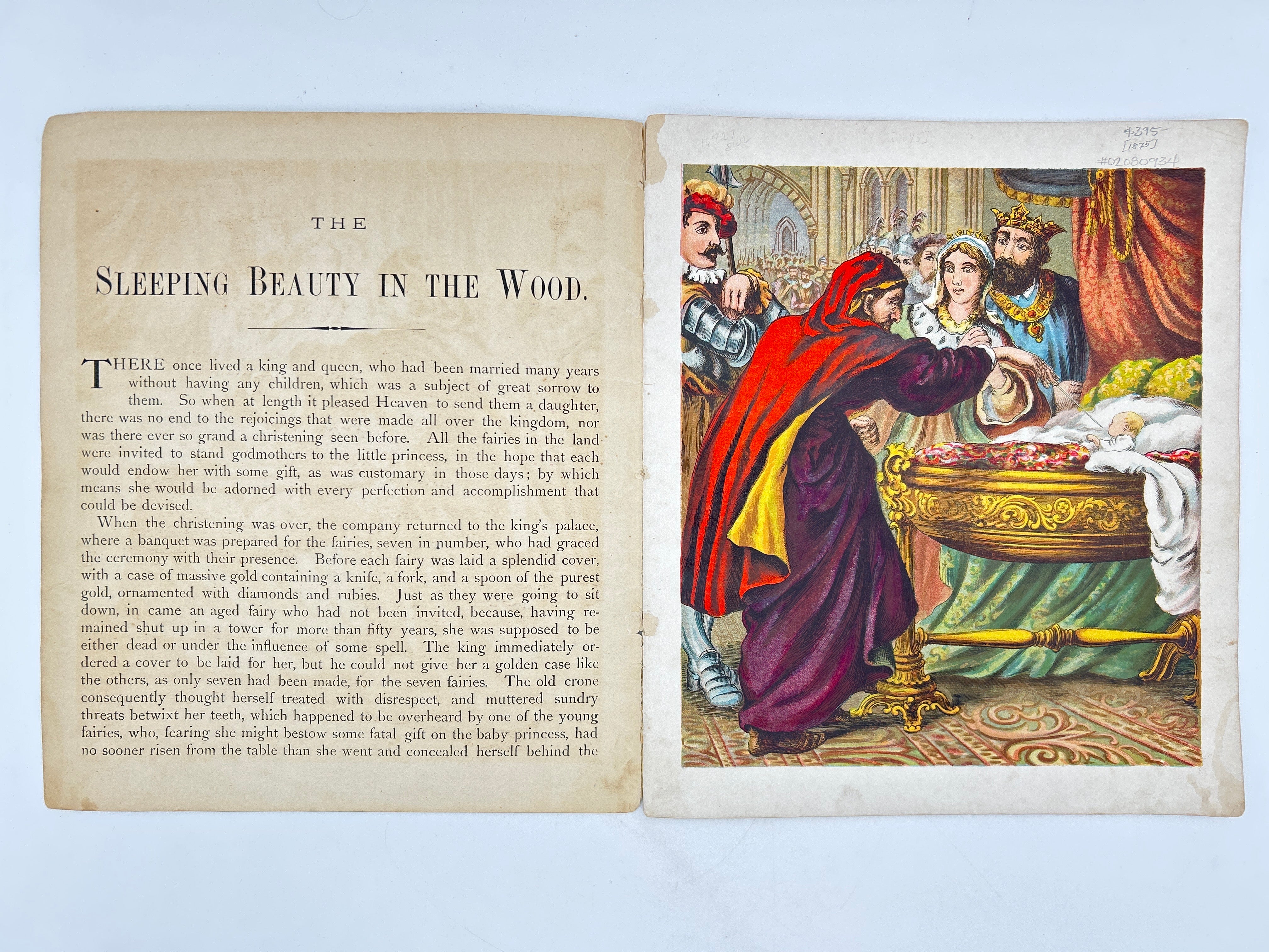 Sleeping Beauty - Image 2
