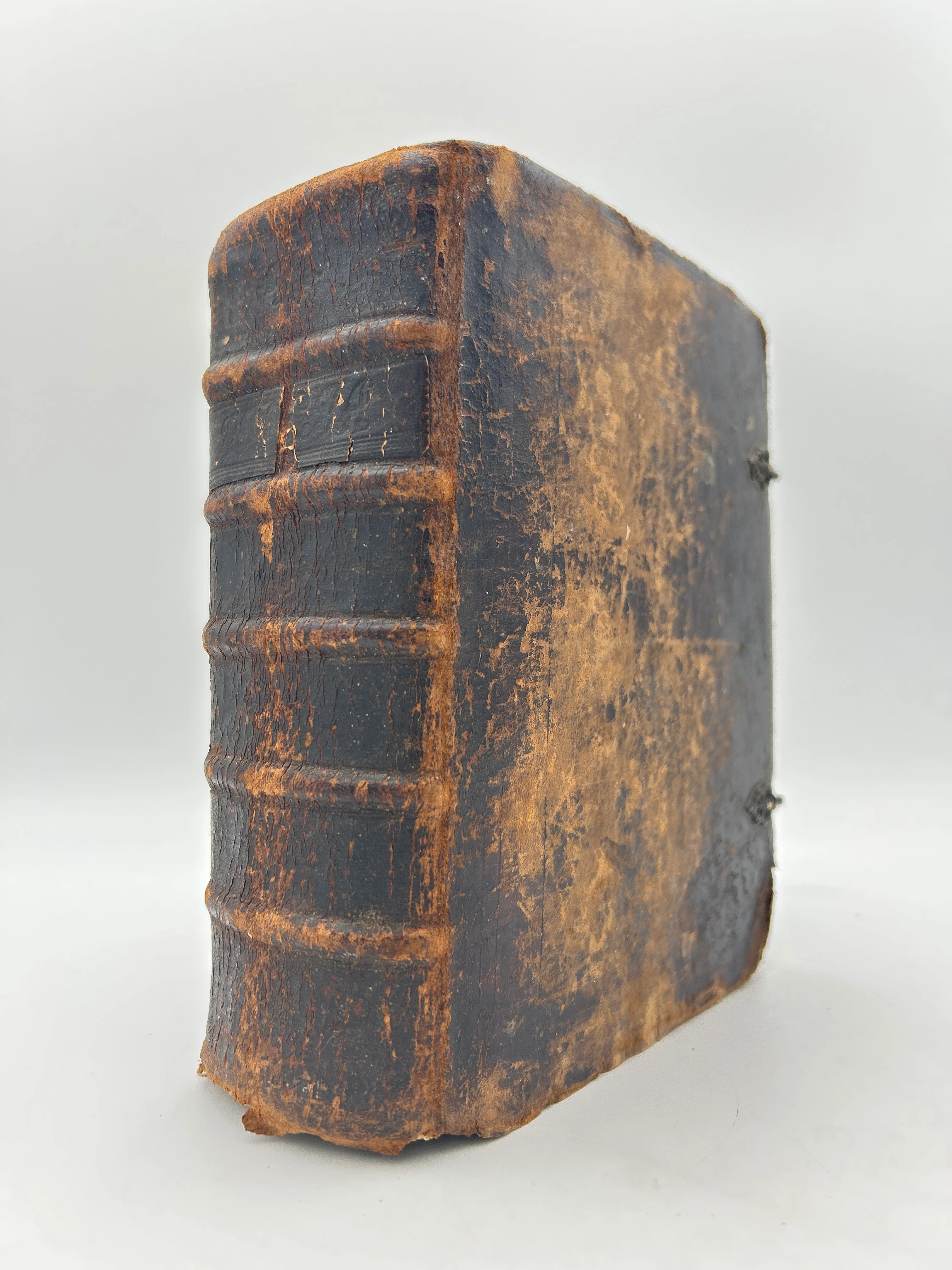 Swedish Bible