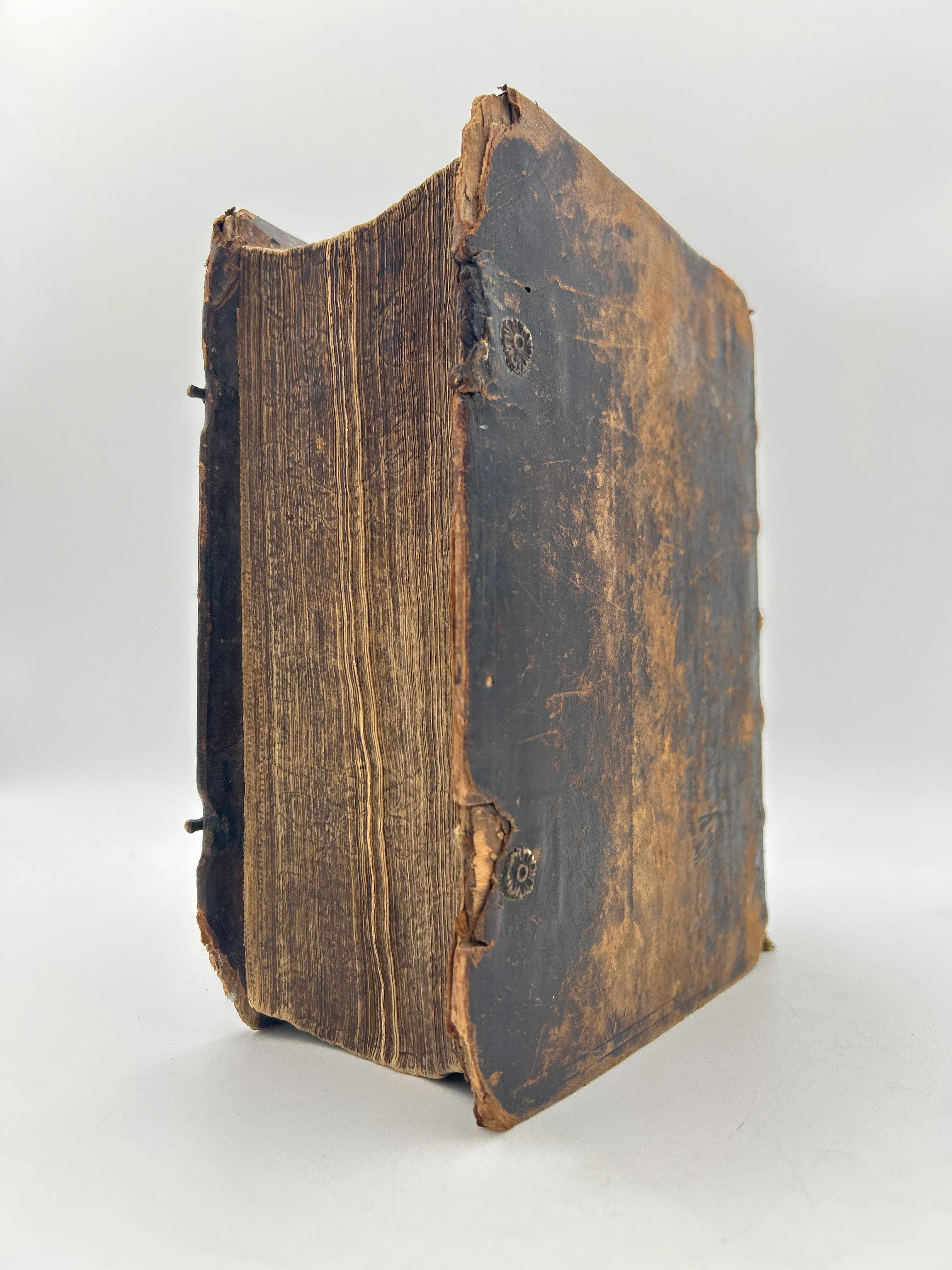 Swedish Bible - Image 6