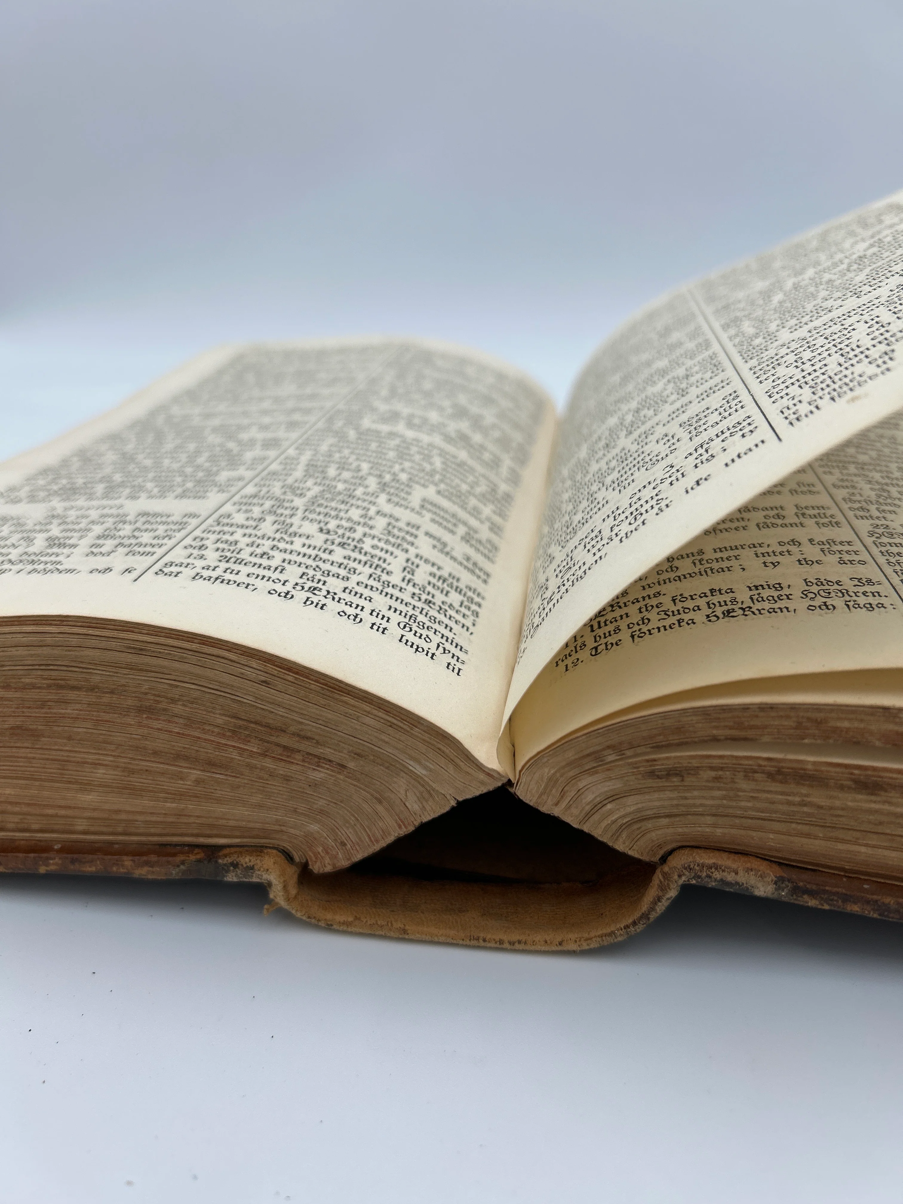 Swedish Bible 1828 - Image 7