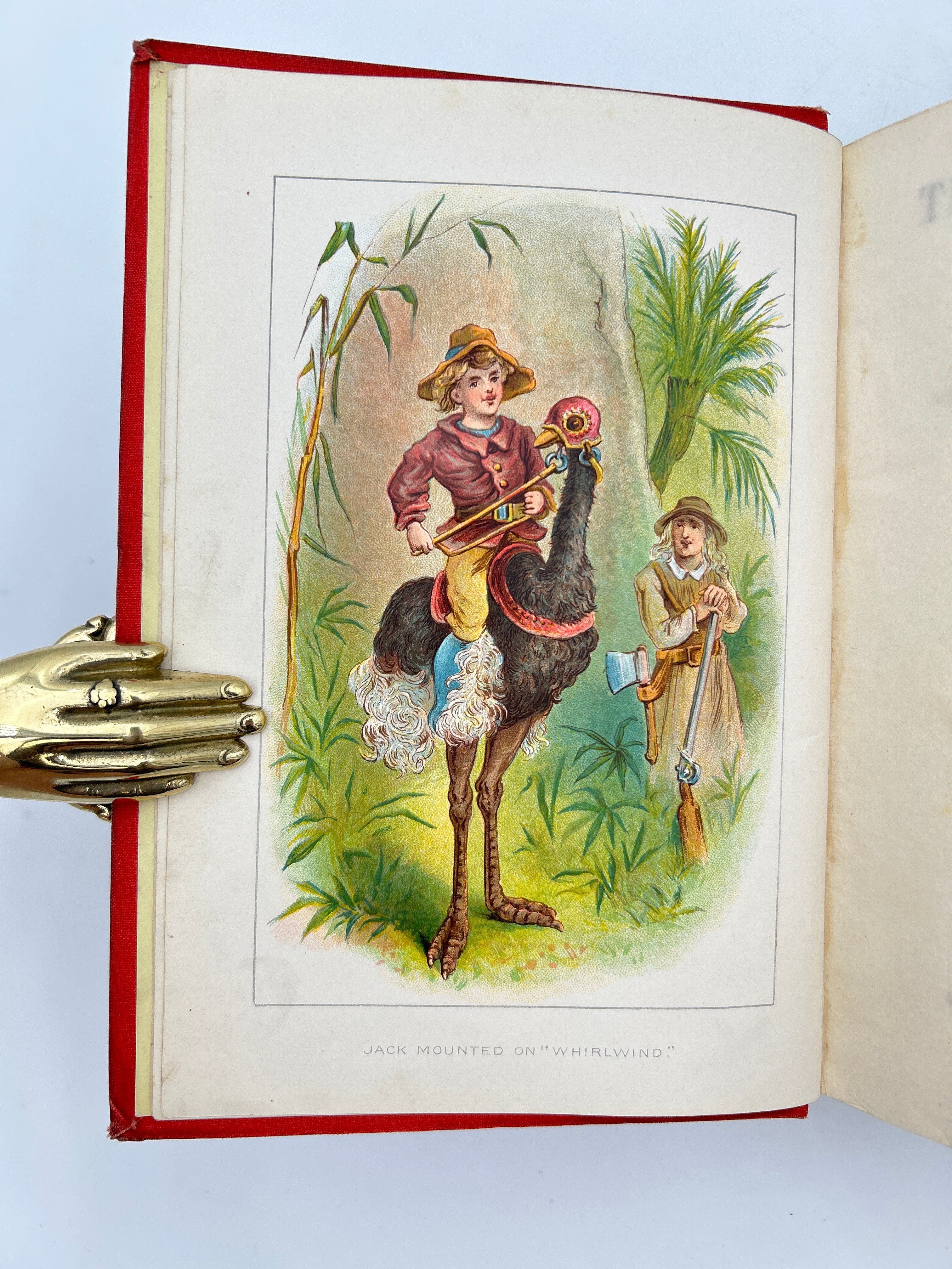 Swiss Family Robinson - Image 3