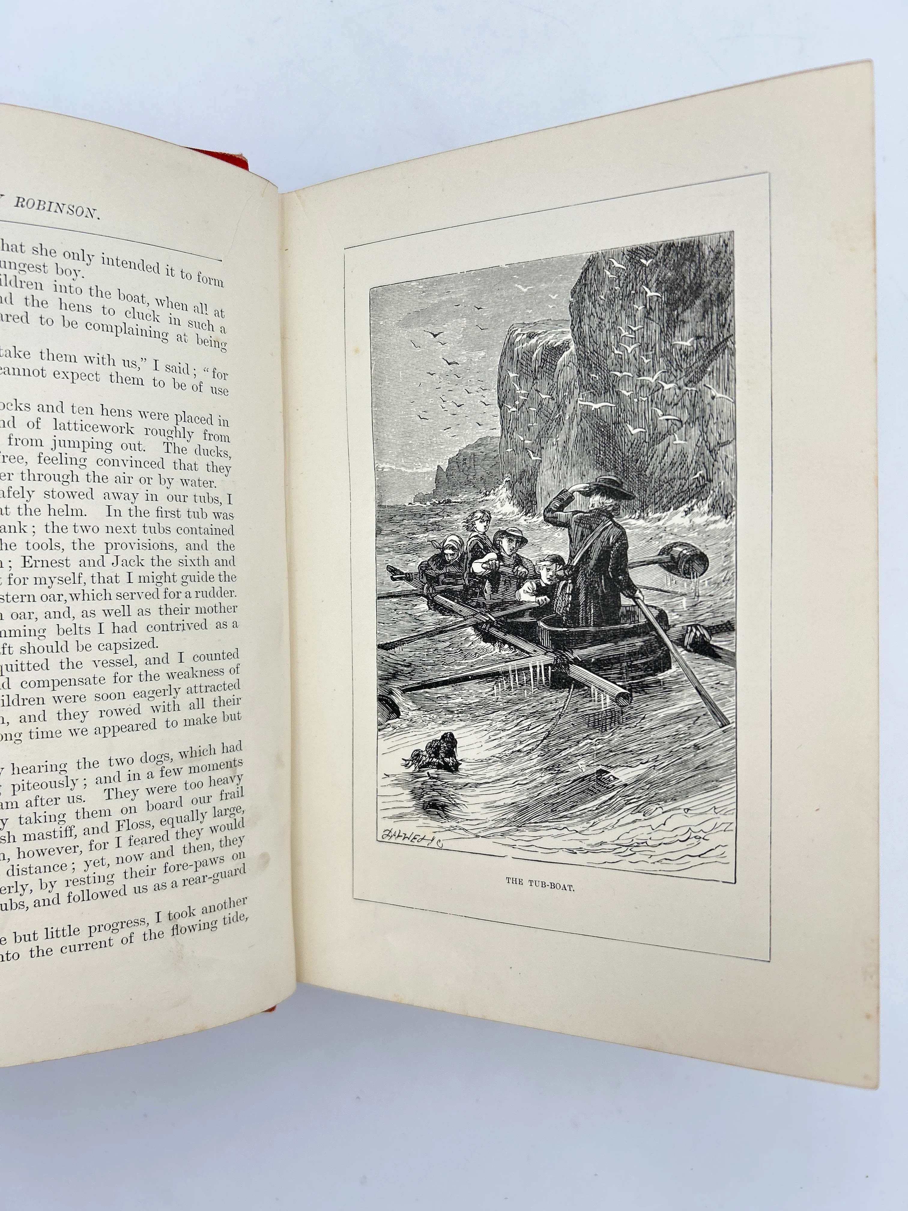Swiss Family Robinson - Image 4