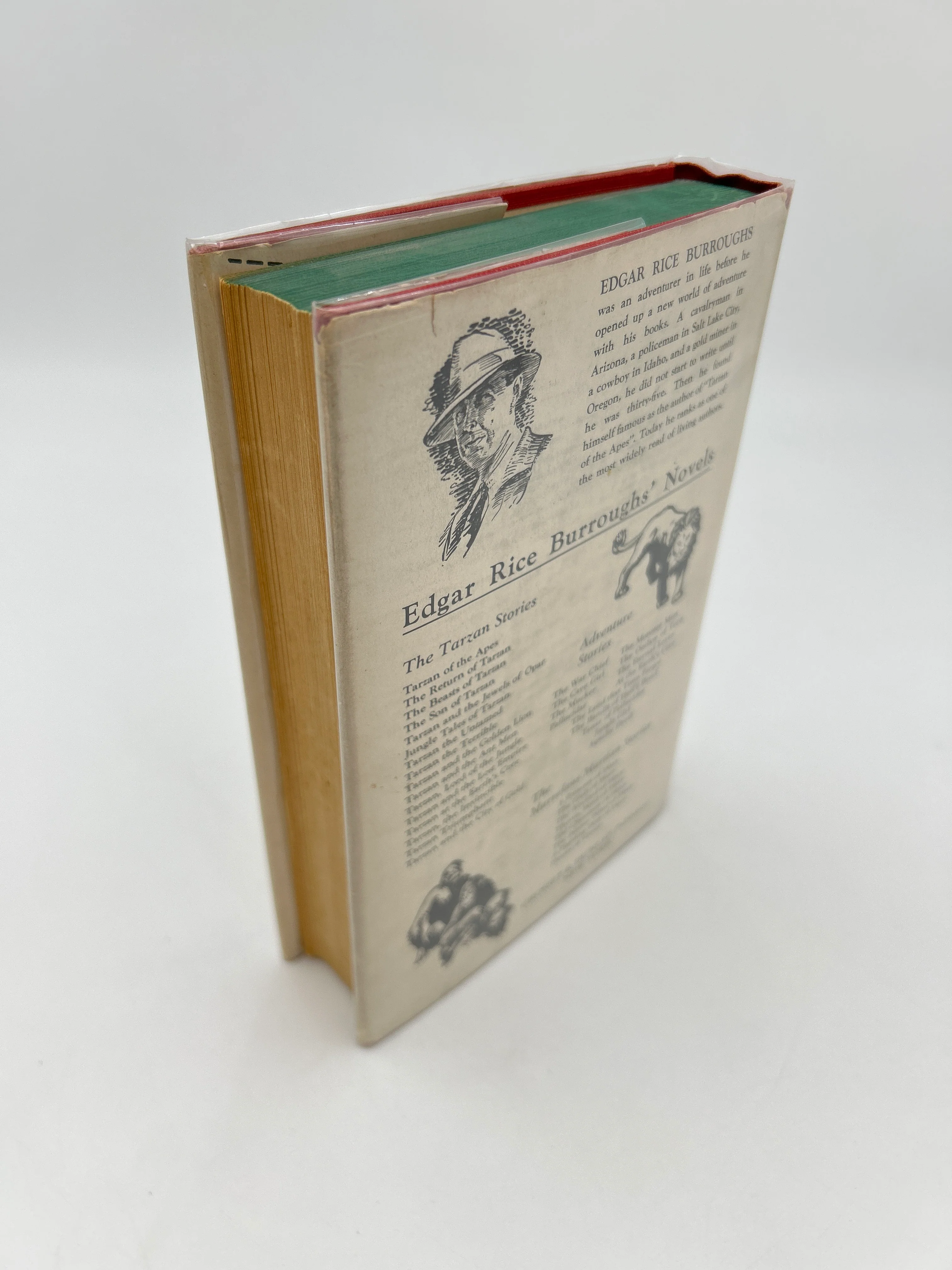 Tarzan and the Golden Lion - Image 4