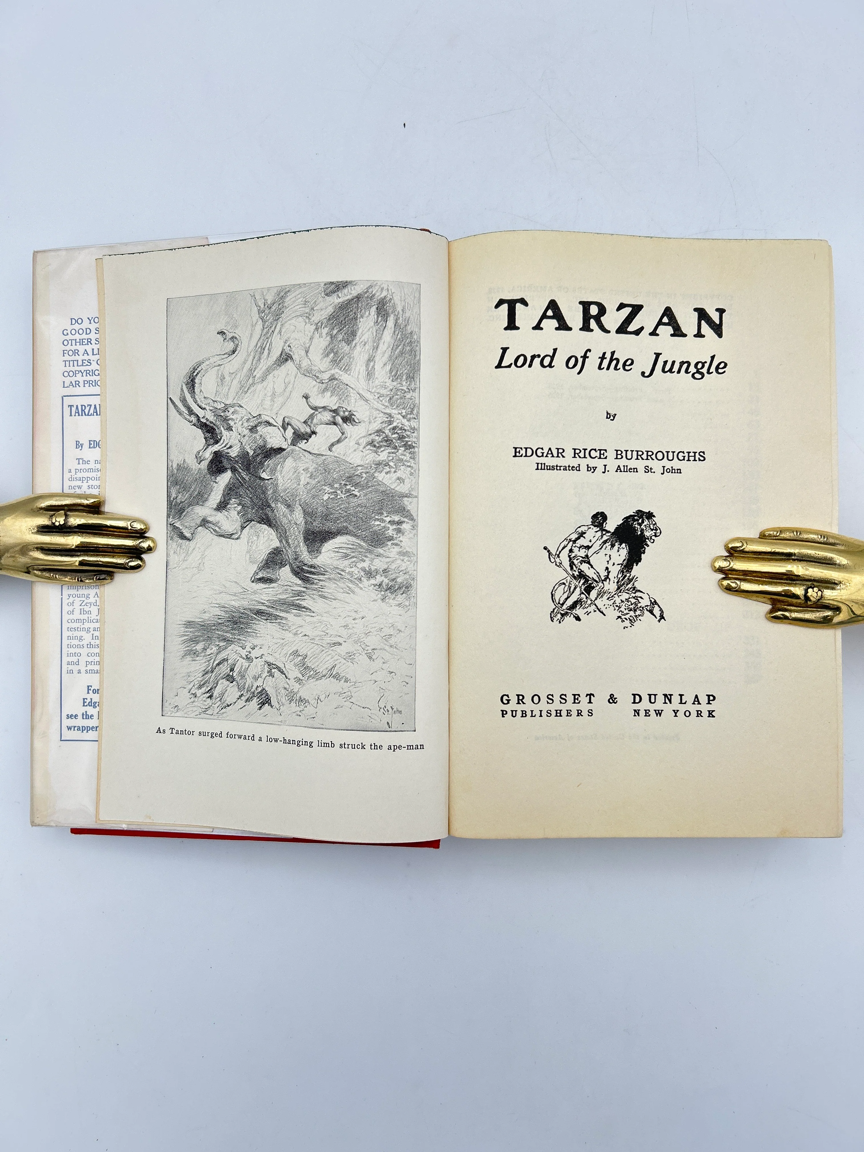 Tarzan: Lord of the Jungle - Image 2