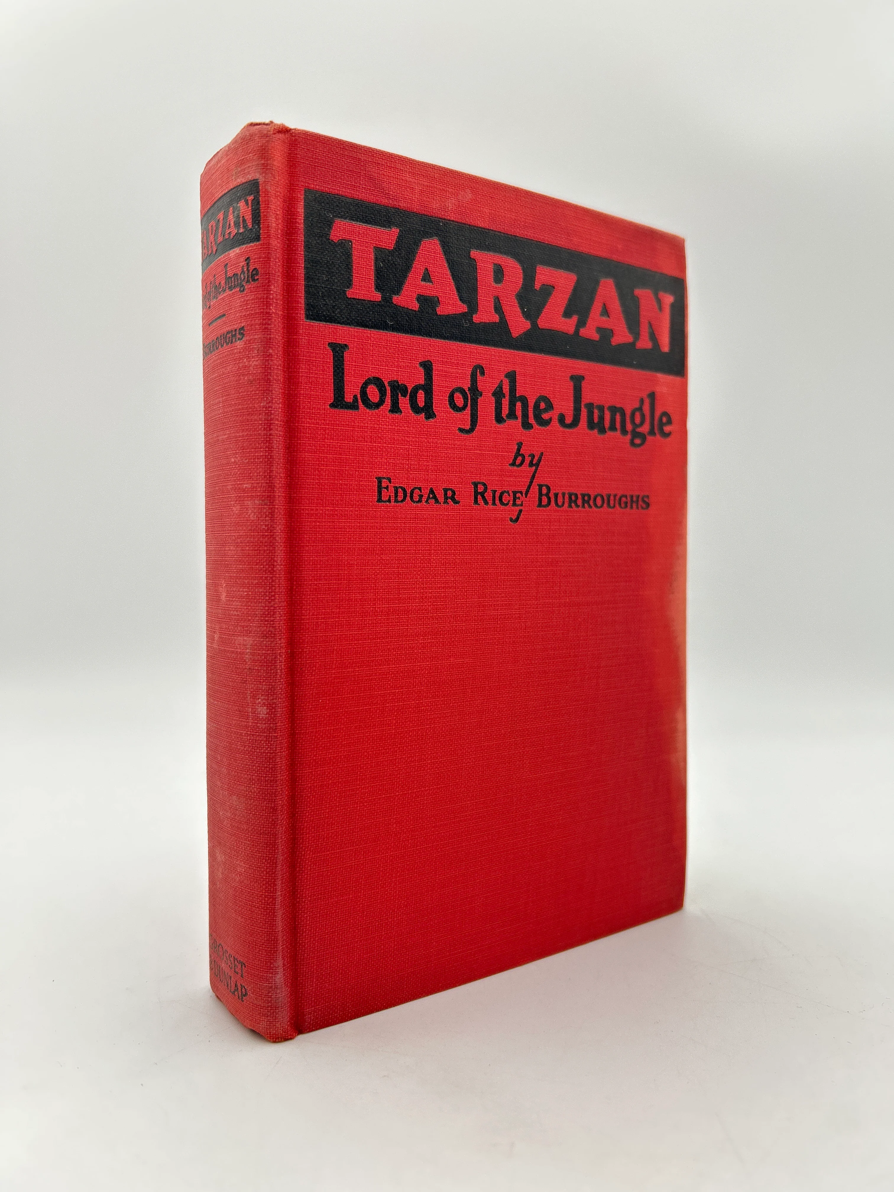 Tarzan: Lord of the Jungle - Image 3