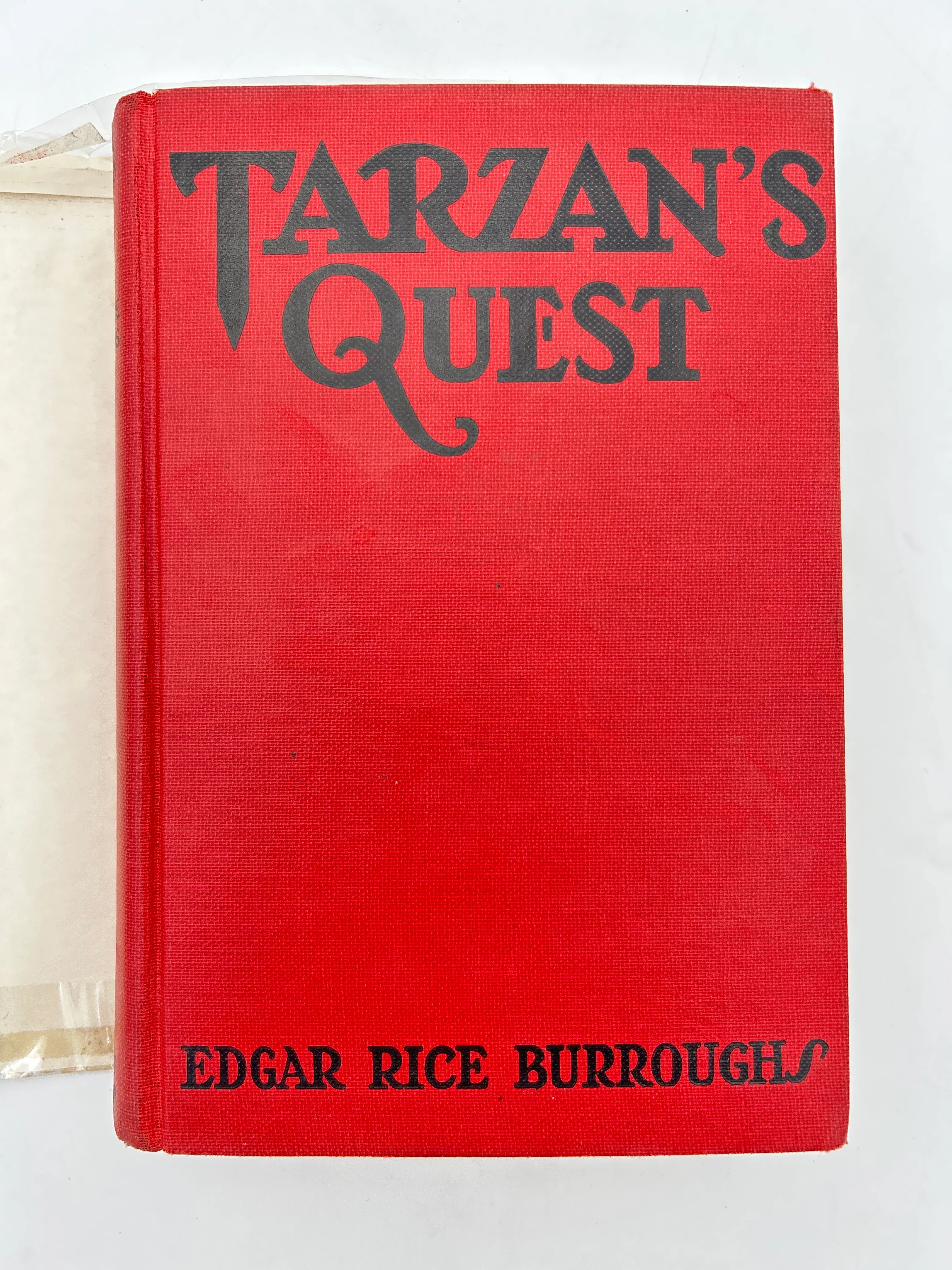 Tarzan's Quest - Image 2