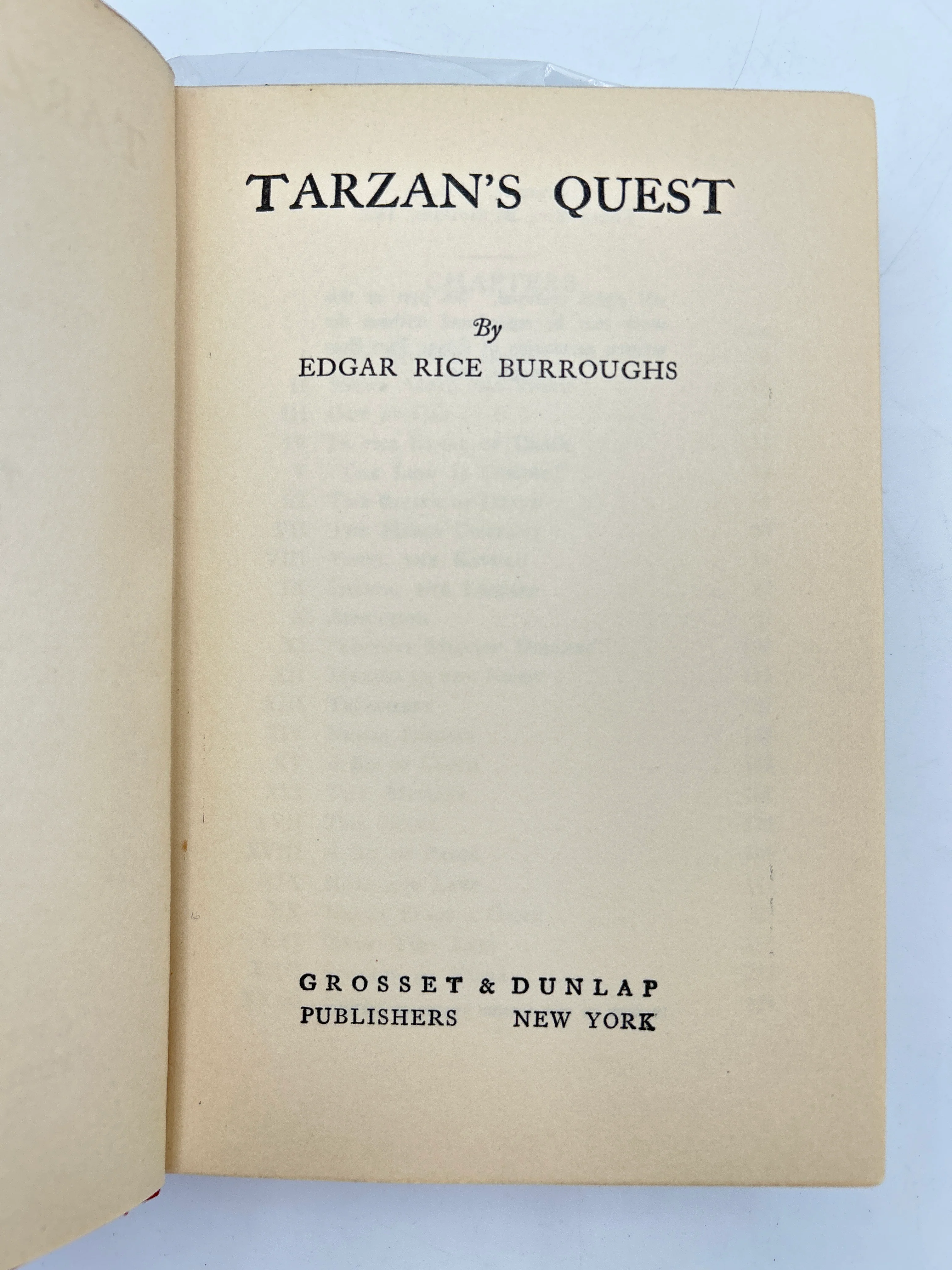 Tarzan's Quest - Image 3