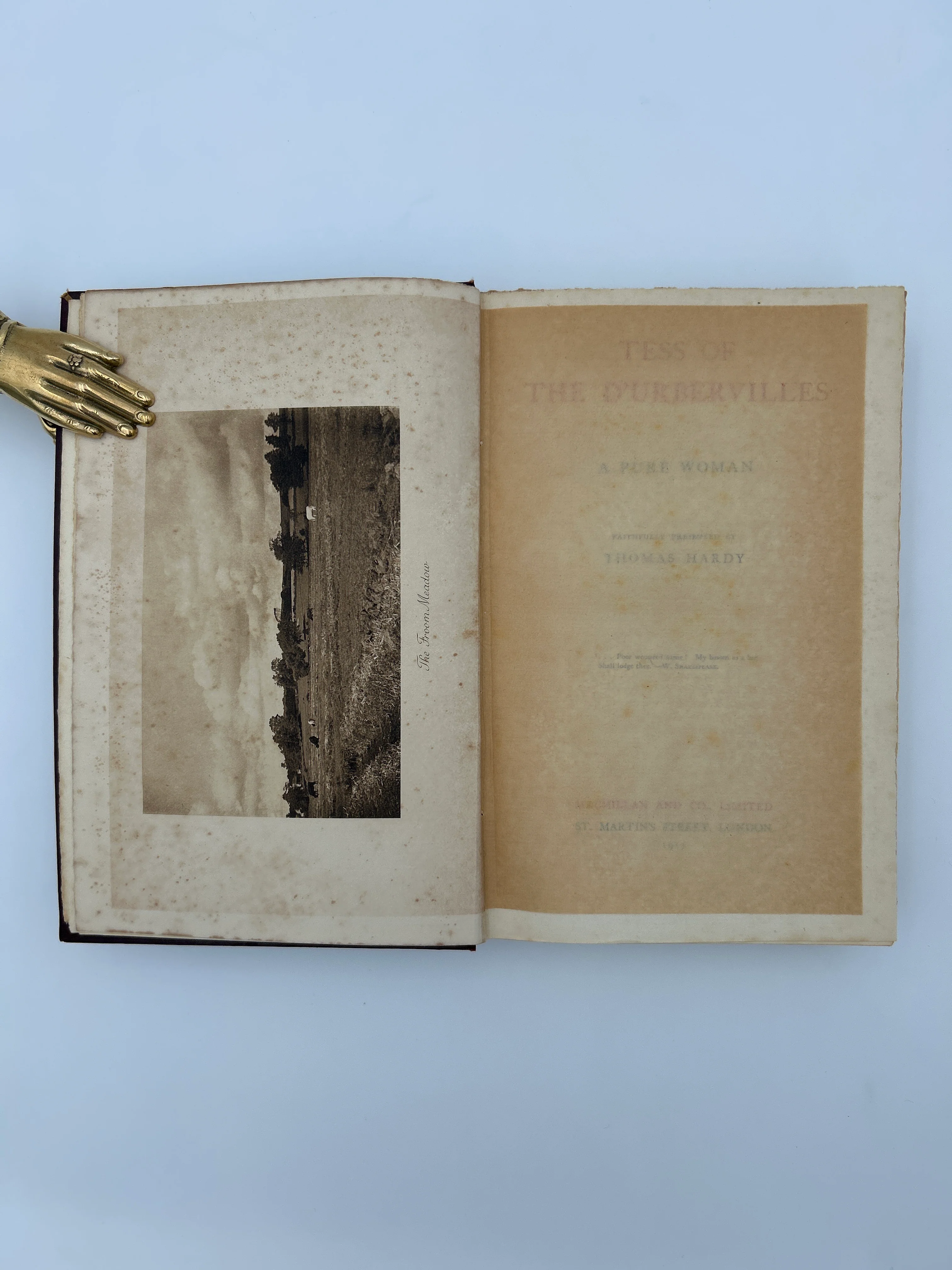 Tess of the D’Urbervilles - Image 4